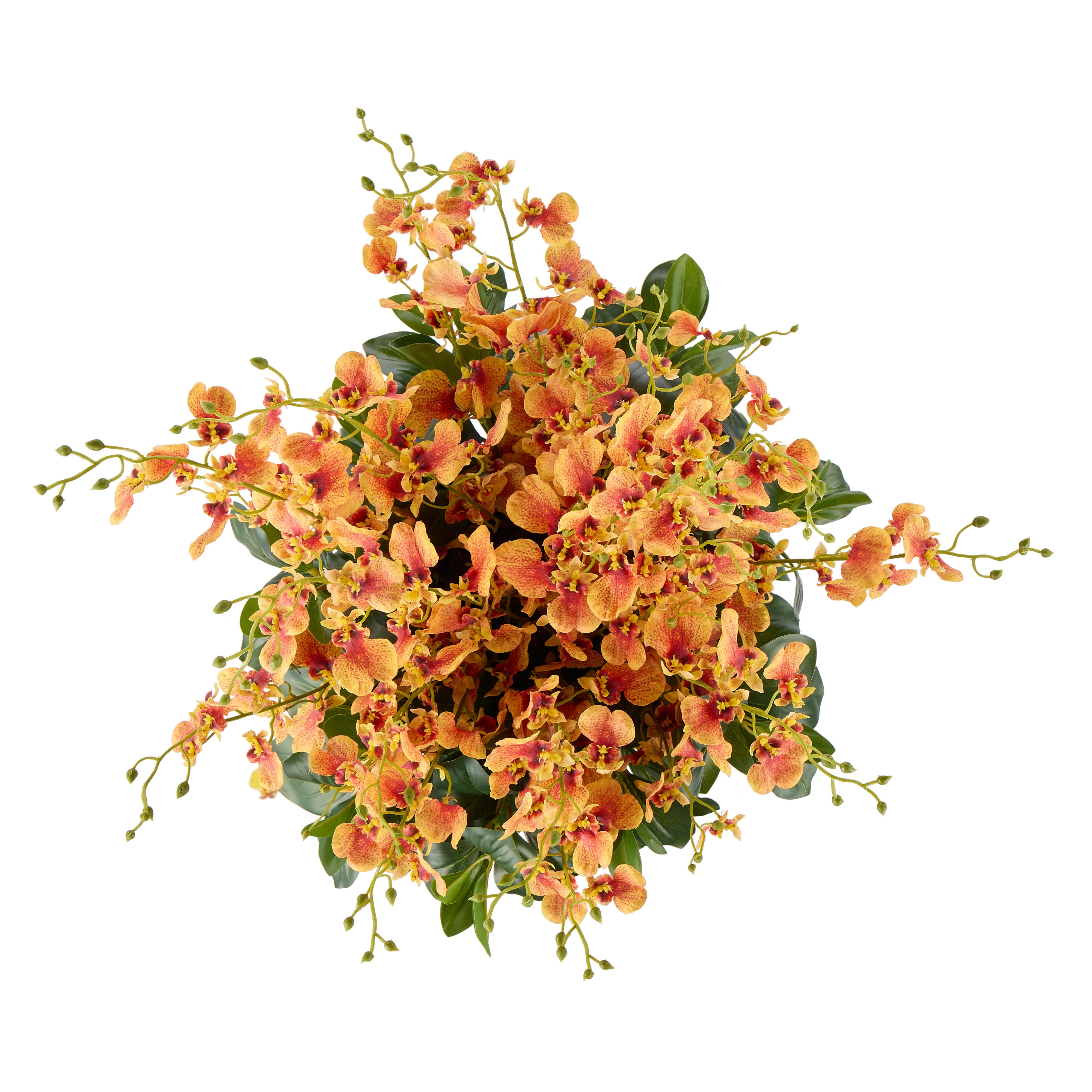 Rogue Dancing Orchid - Small Madelyn Bowl