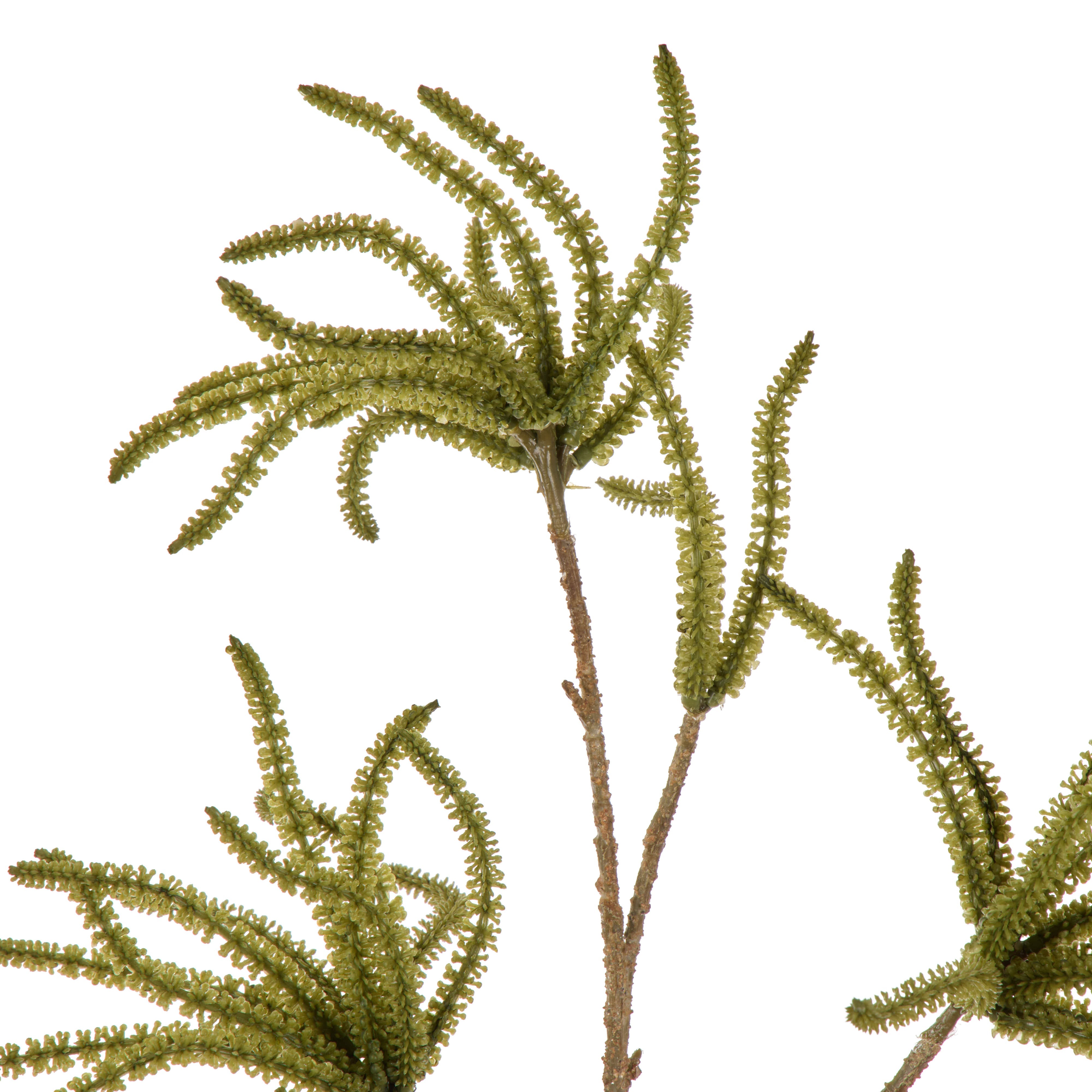 Rogue Catkin Spray Green