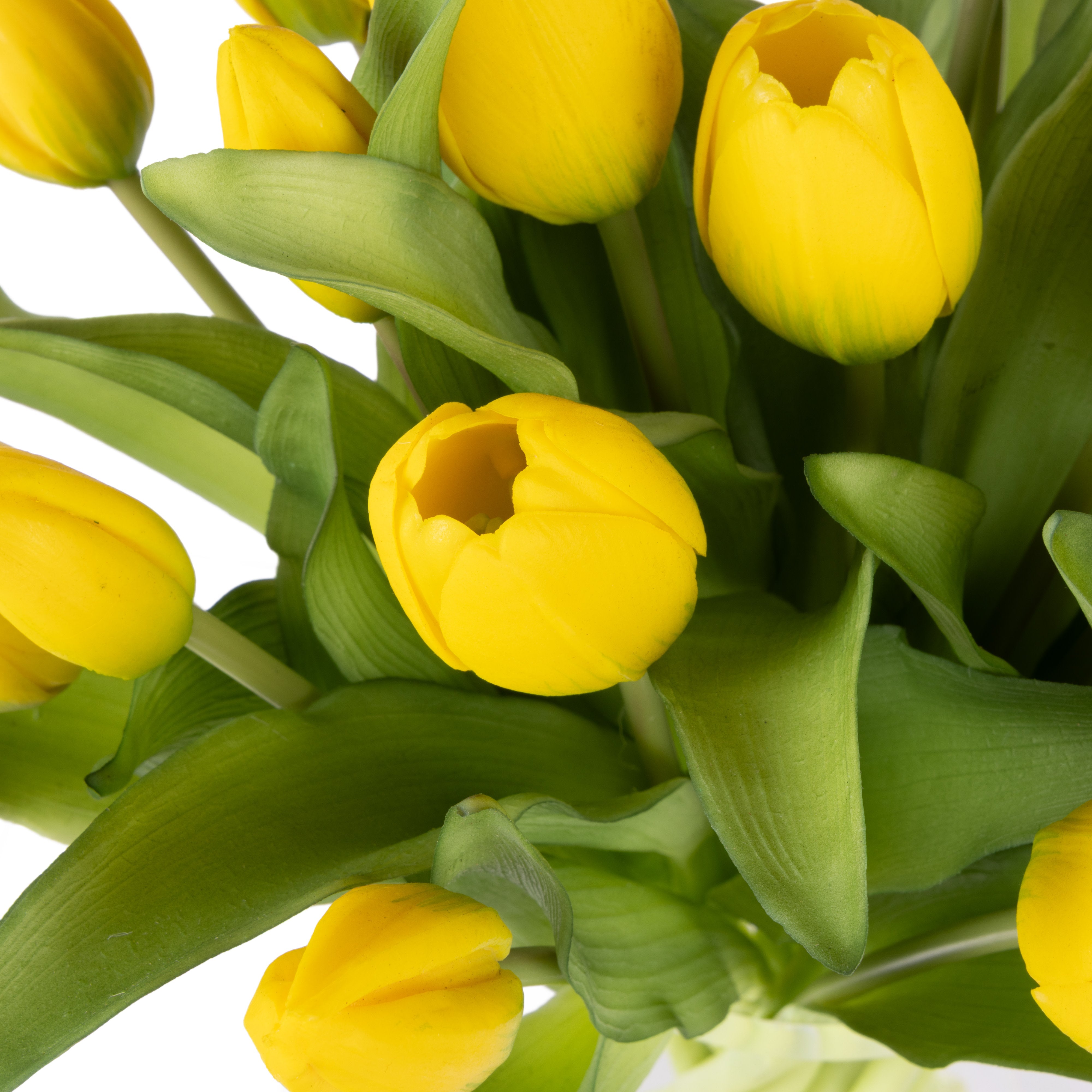 Rogue Tulip Bunch - Phoebe Vase Yellow