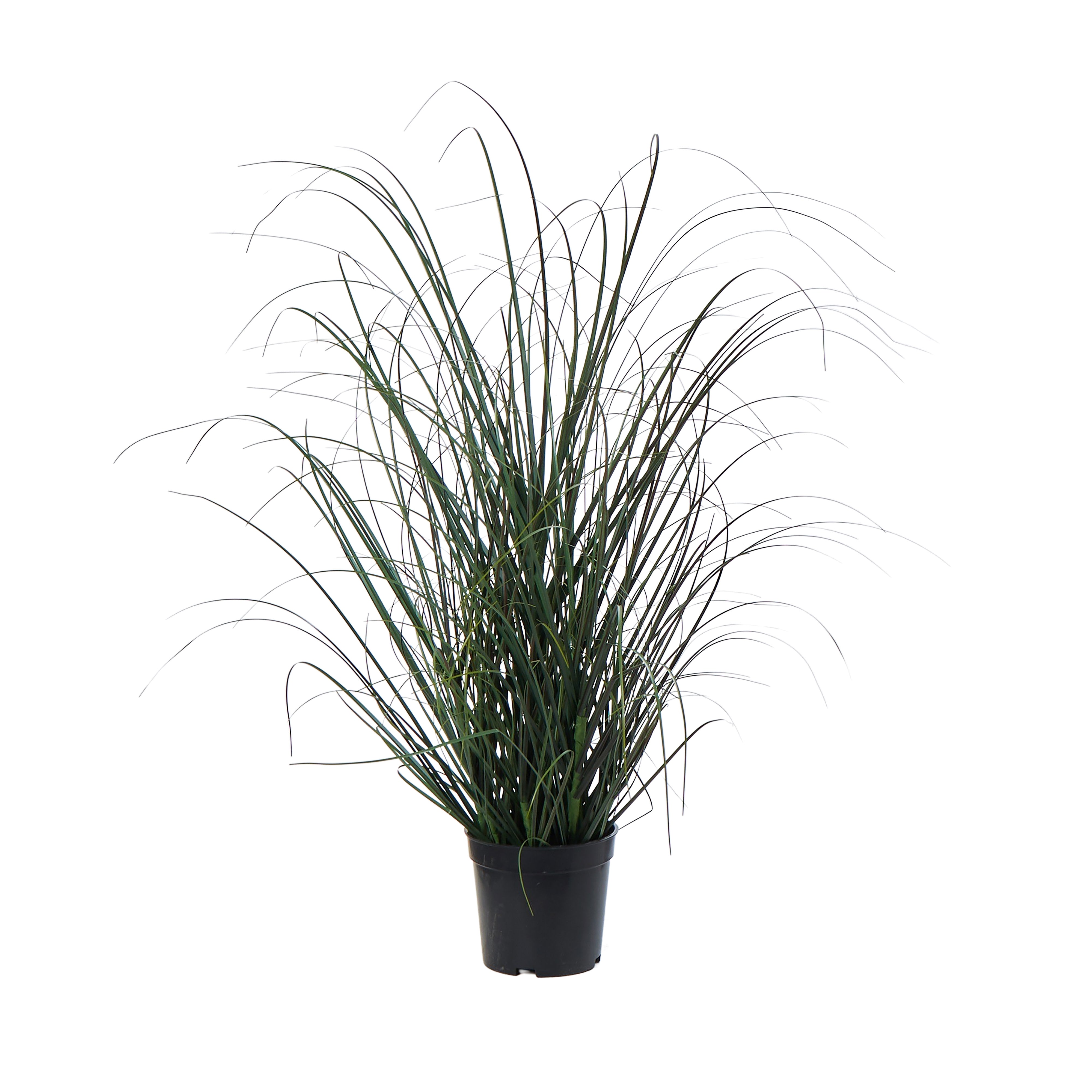 Rogue Grass Plant - Garden Pot Green 68cm