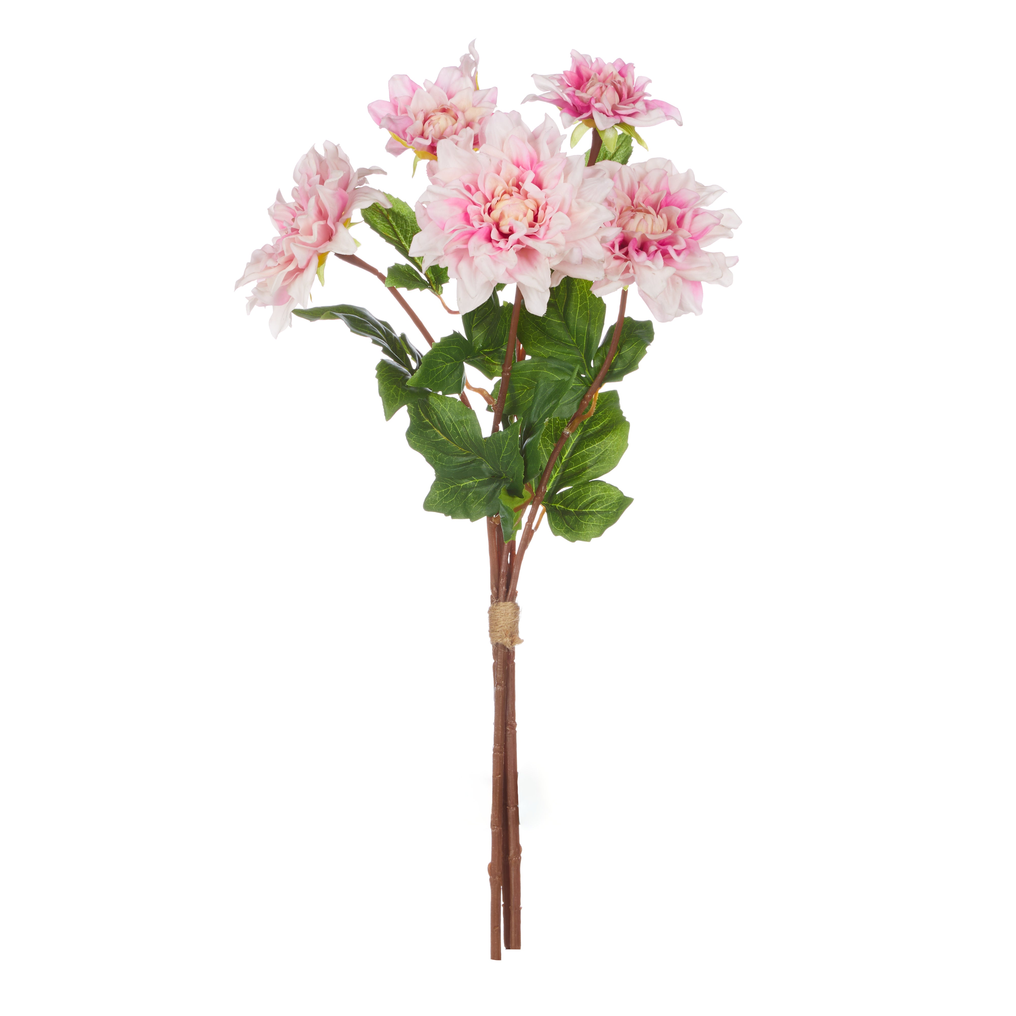 Rogue Dahlia Bud Stem Bunch