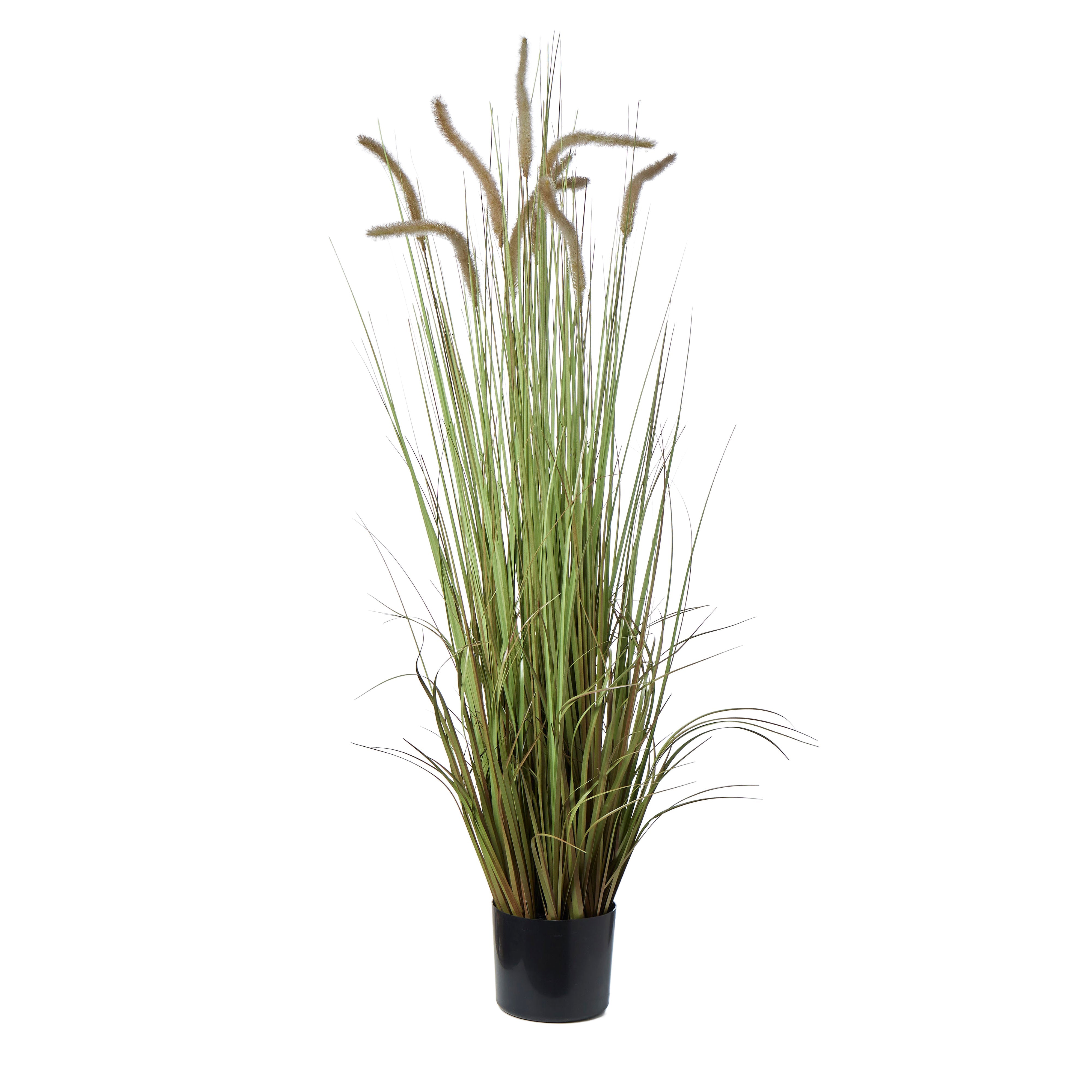 Rogue Grass Plant 90cm