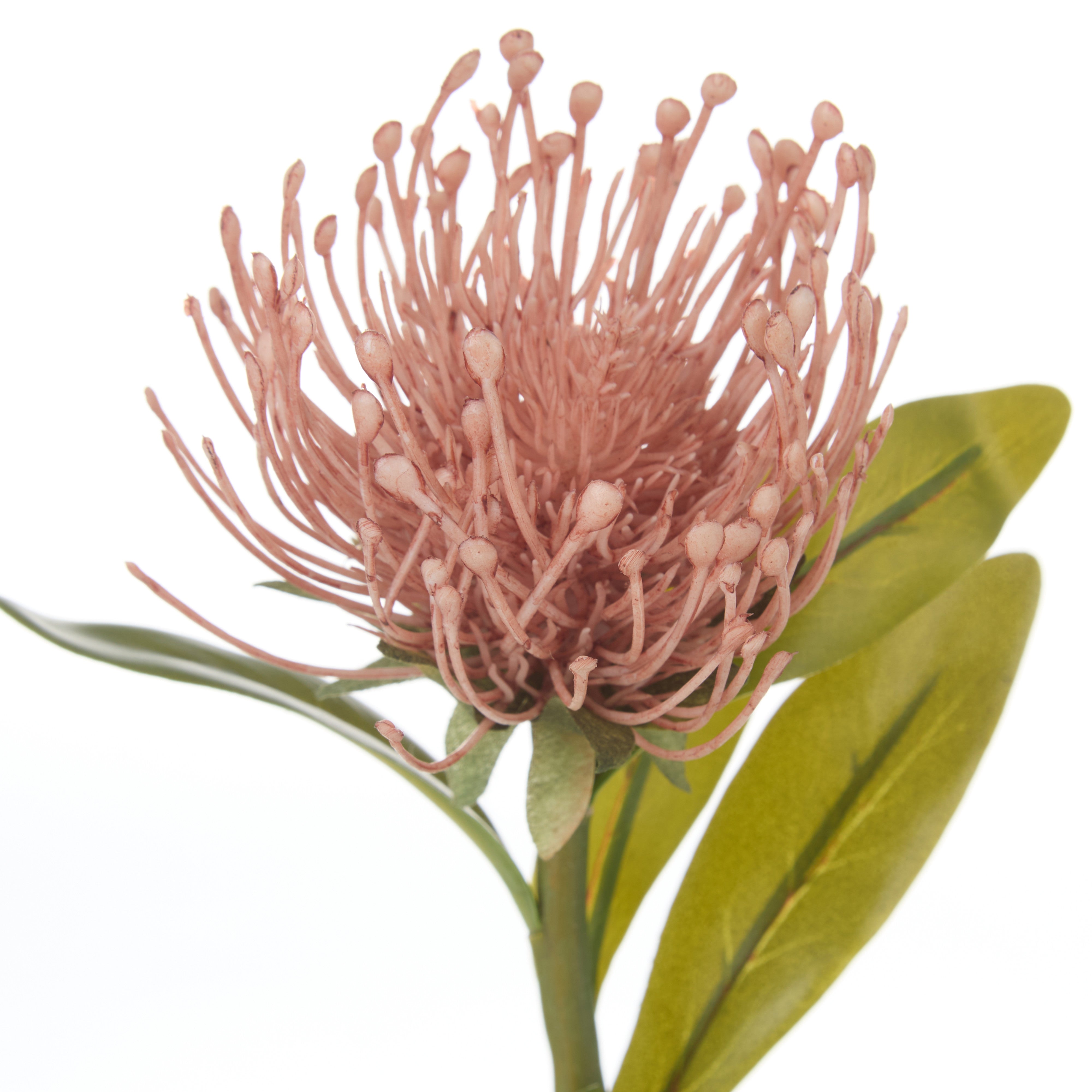 Rogue Pincushion Stem Pink 43cm