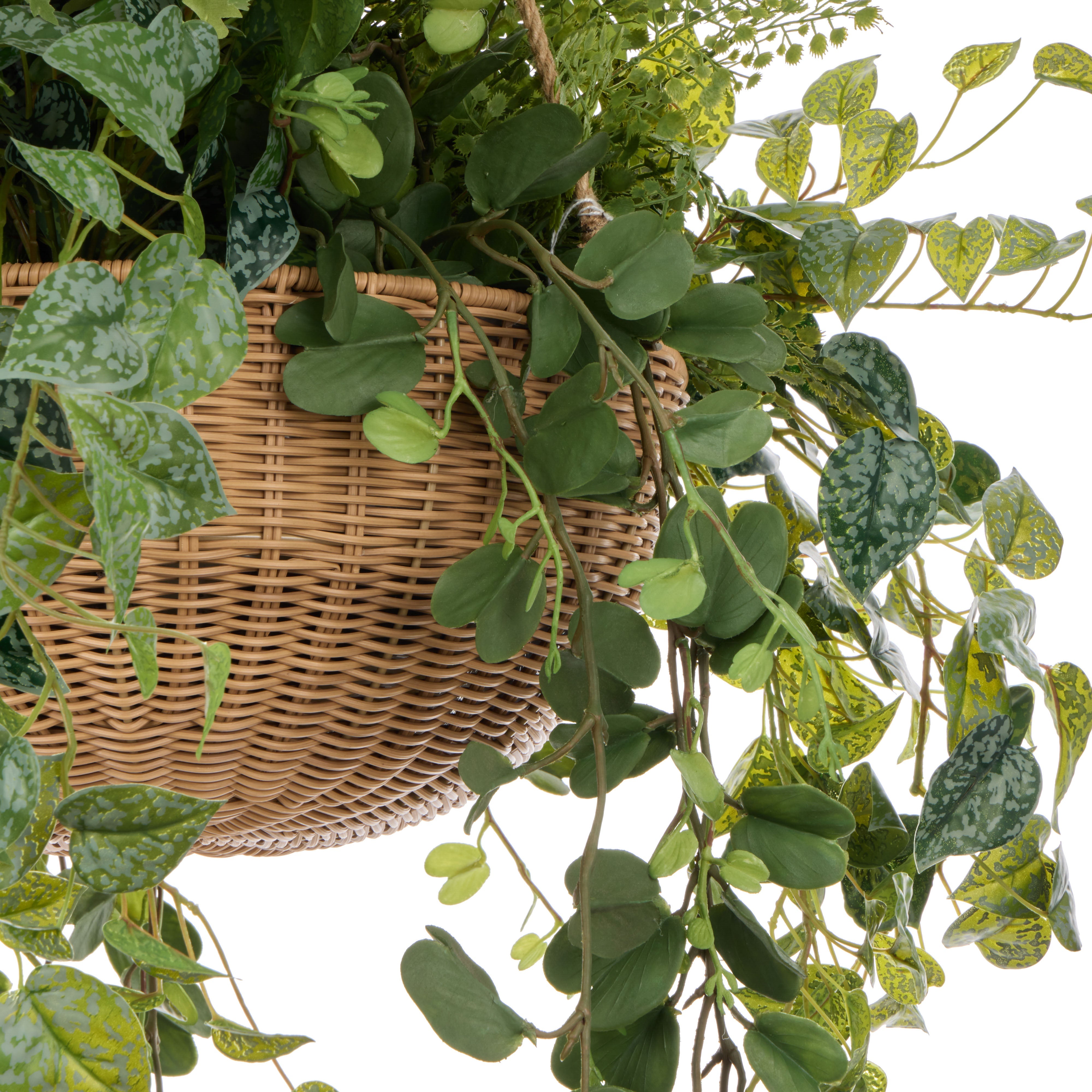 Rogue Fern Garden Mix - Laos Hanging 147cm