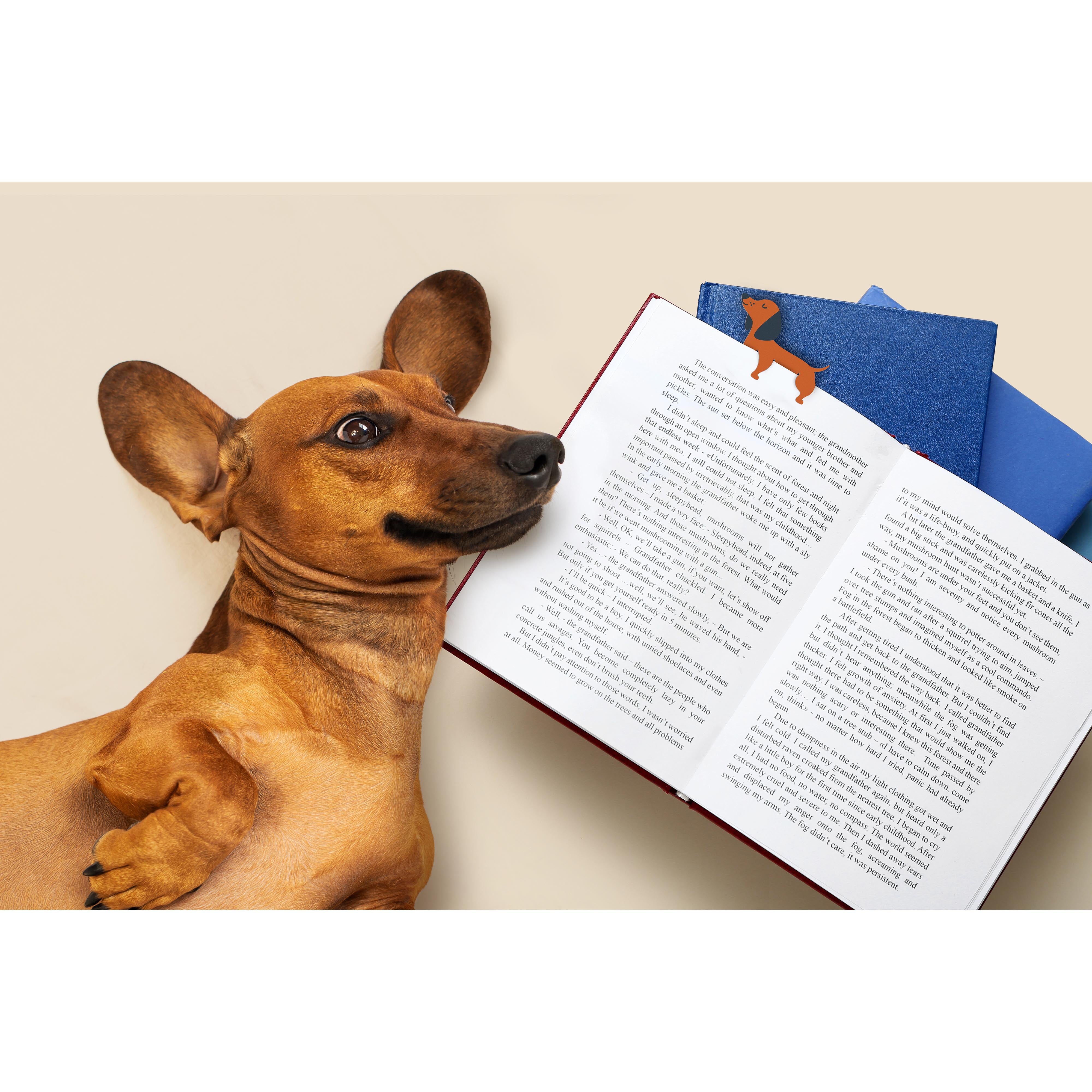 Fred Short Tales Dog Bookmarks 2 Piece Set Multi-Coloured
