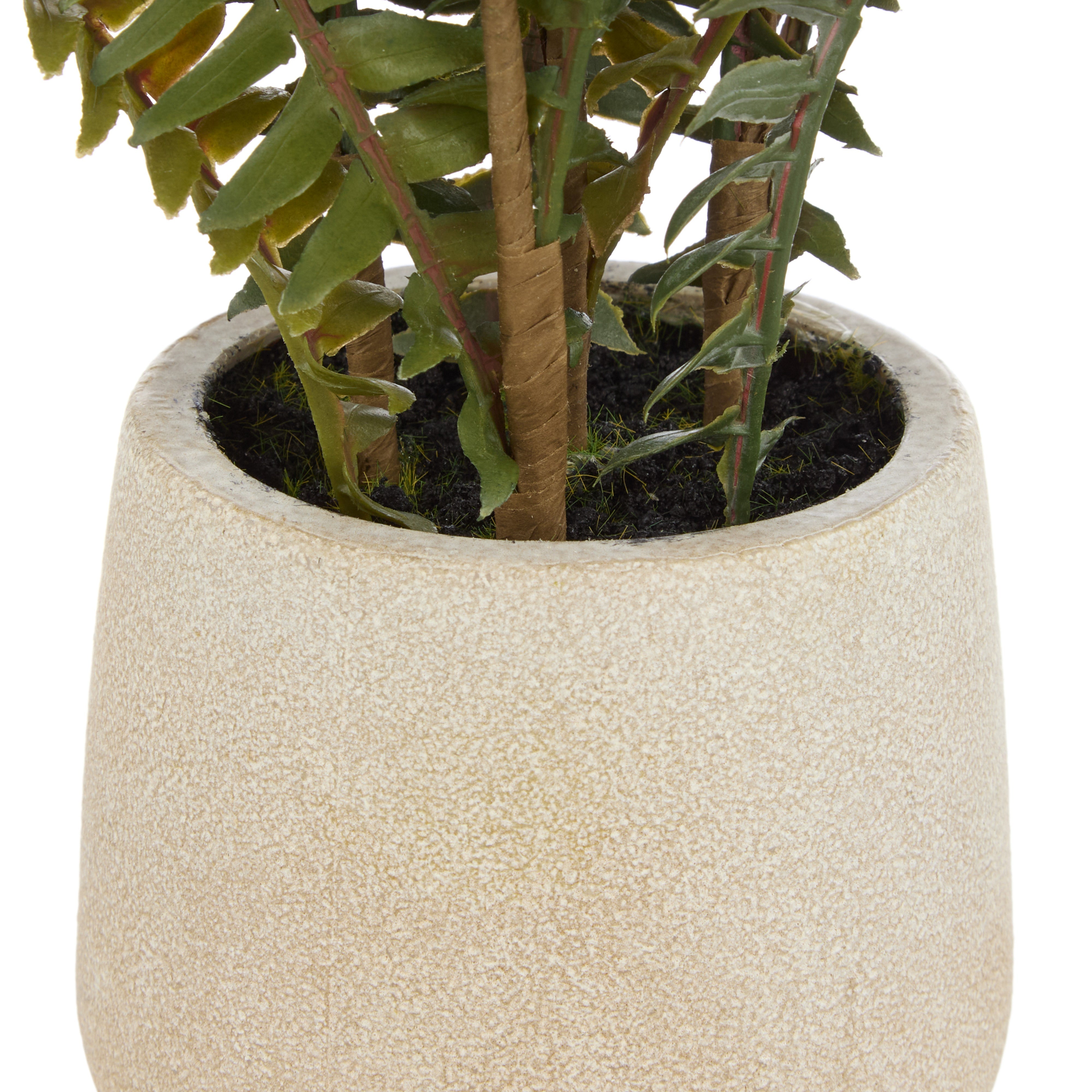 Rogue Boston Fern Pot 46cm