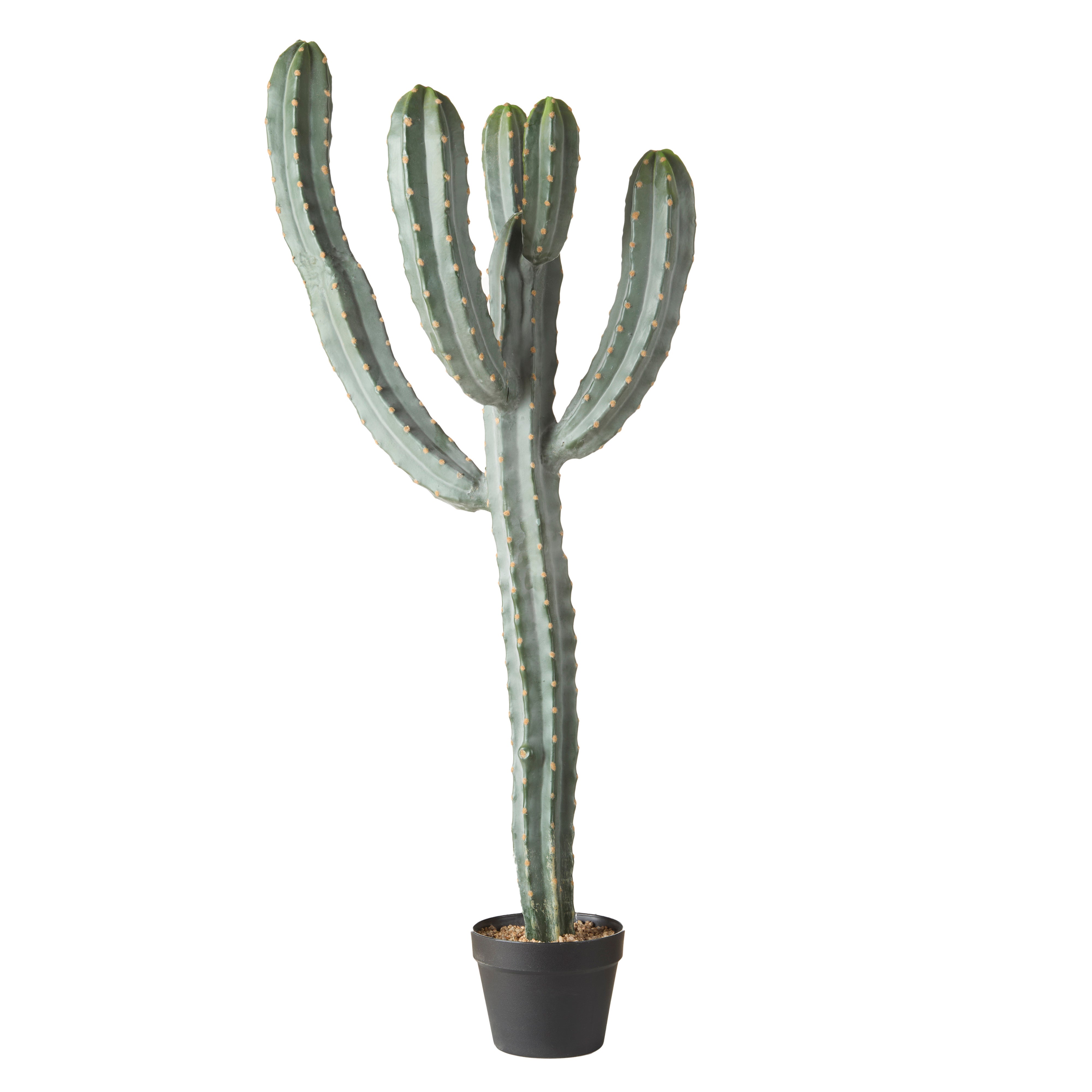 Rogue Saguaro Cactus - Garden Pot 123cm
