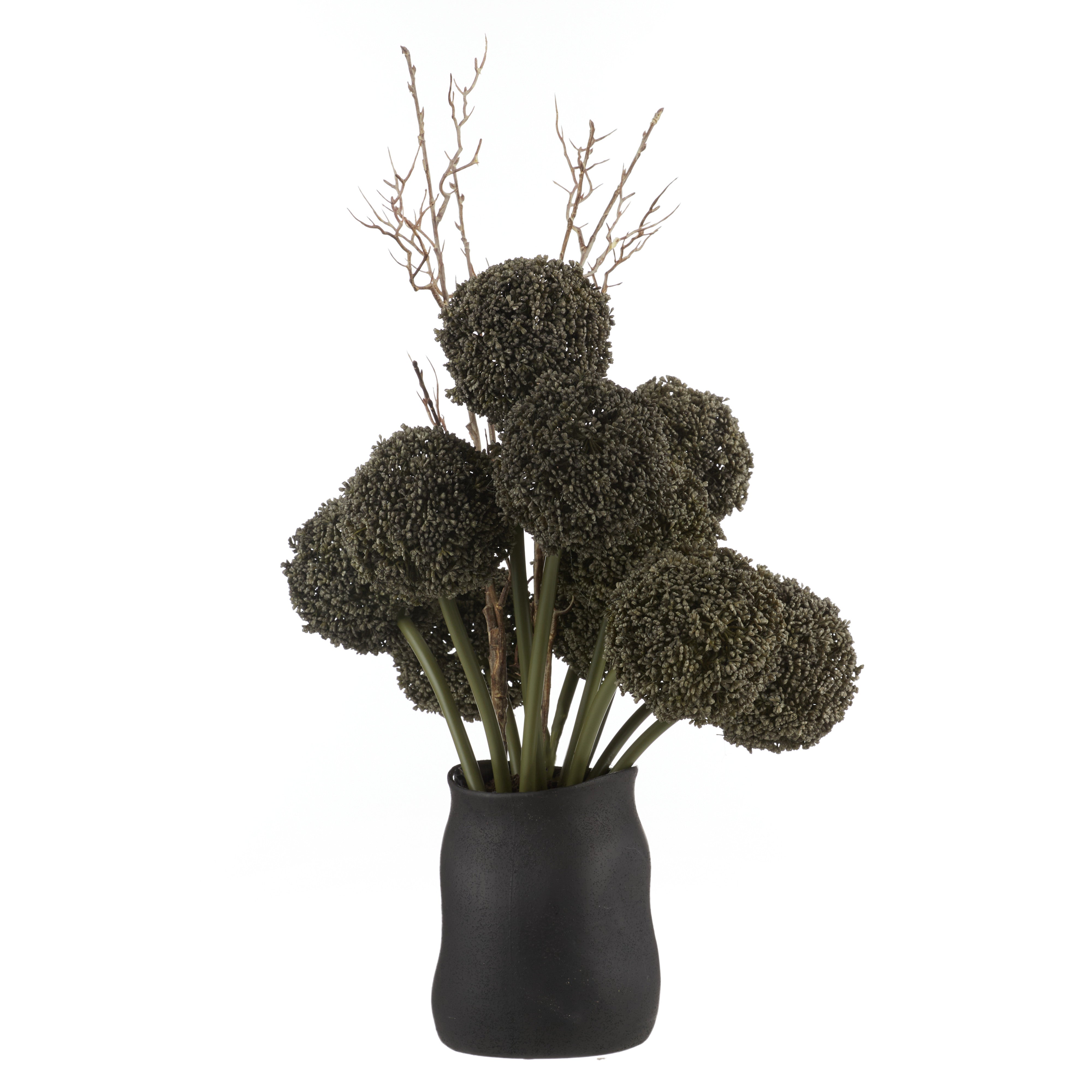 Rogue Allium Spray - Maliah Pot