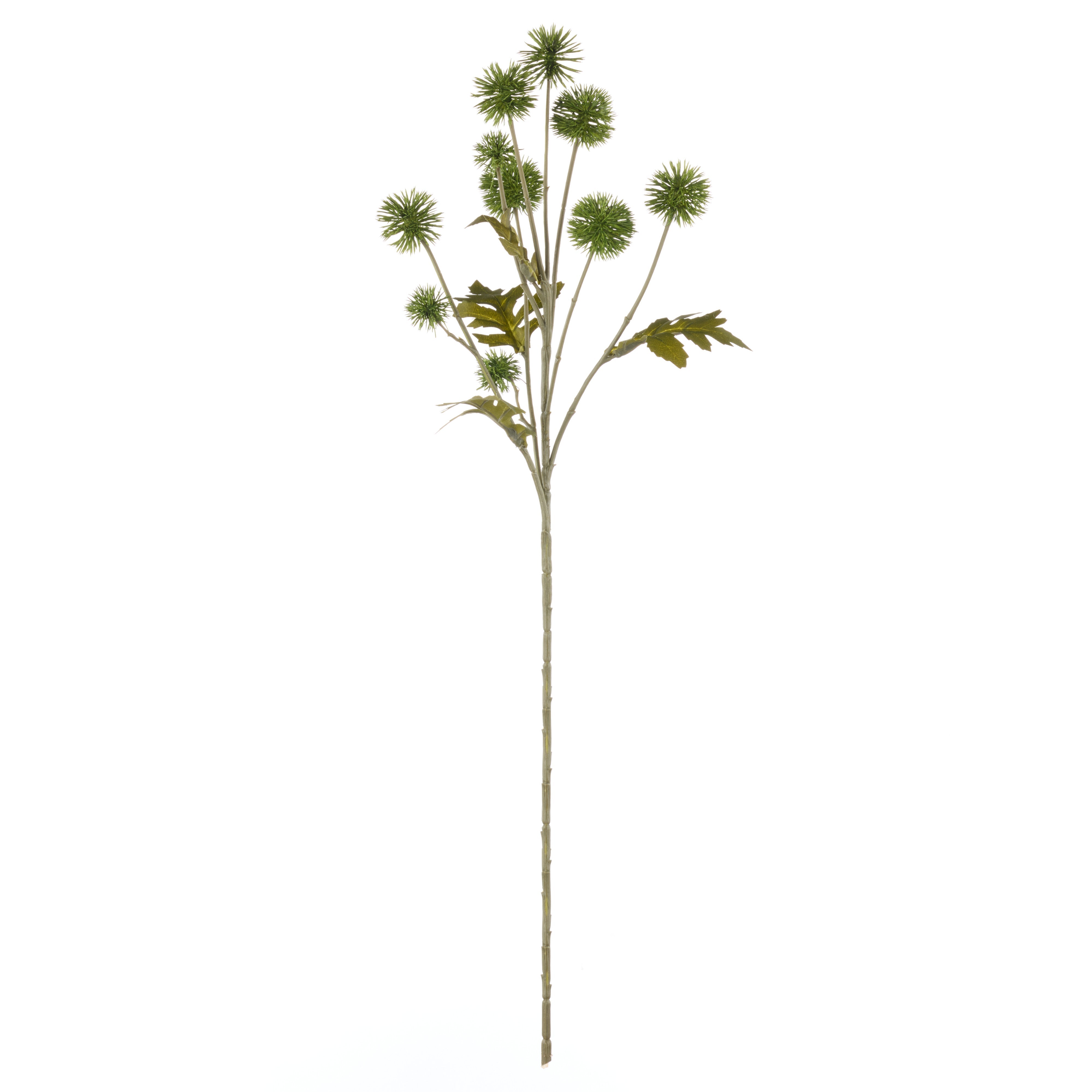 Rogue Pompom Spray Green