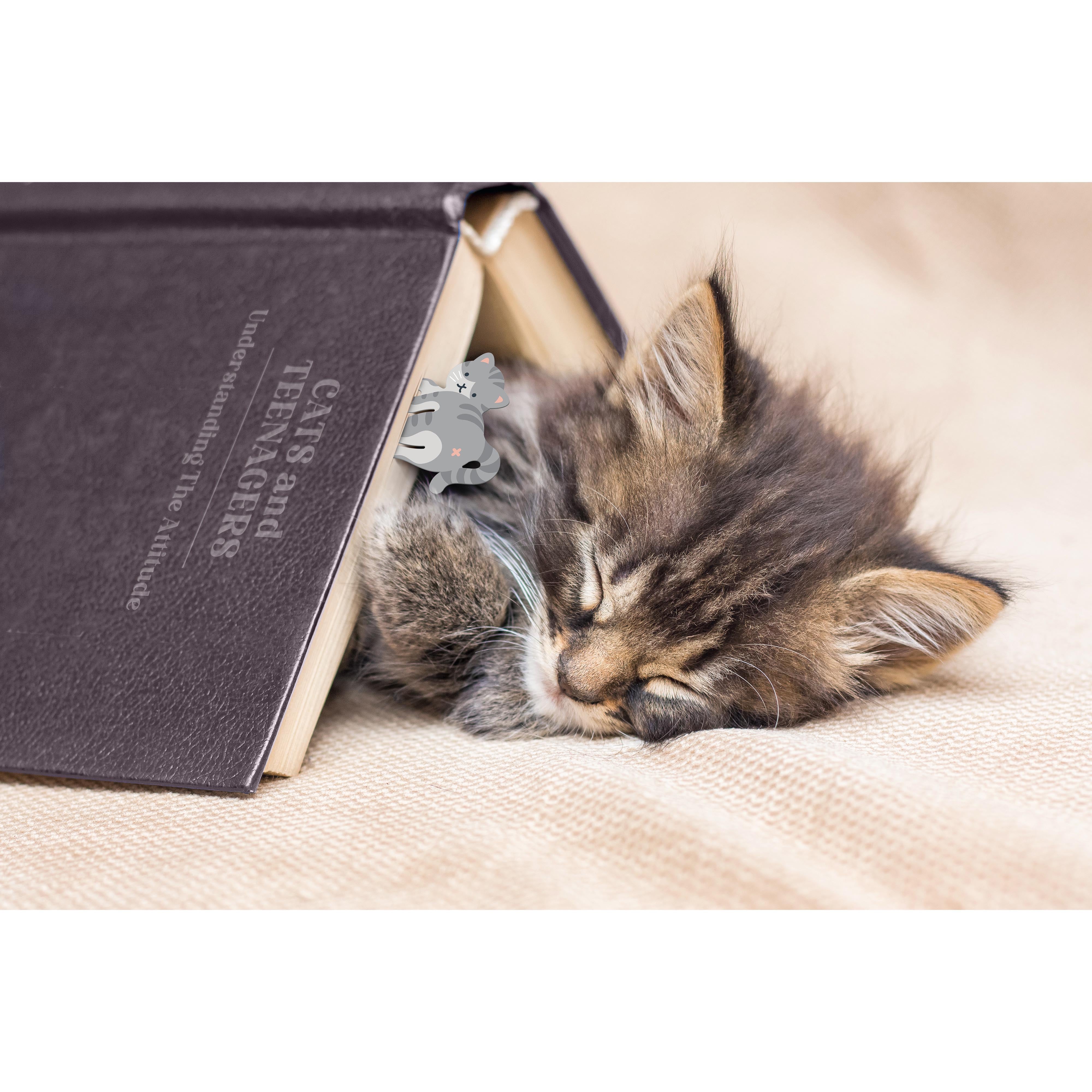 Fred Tale End Cat Bookmarks 2 Piece Set Multi-Coloured