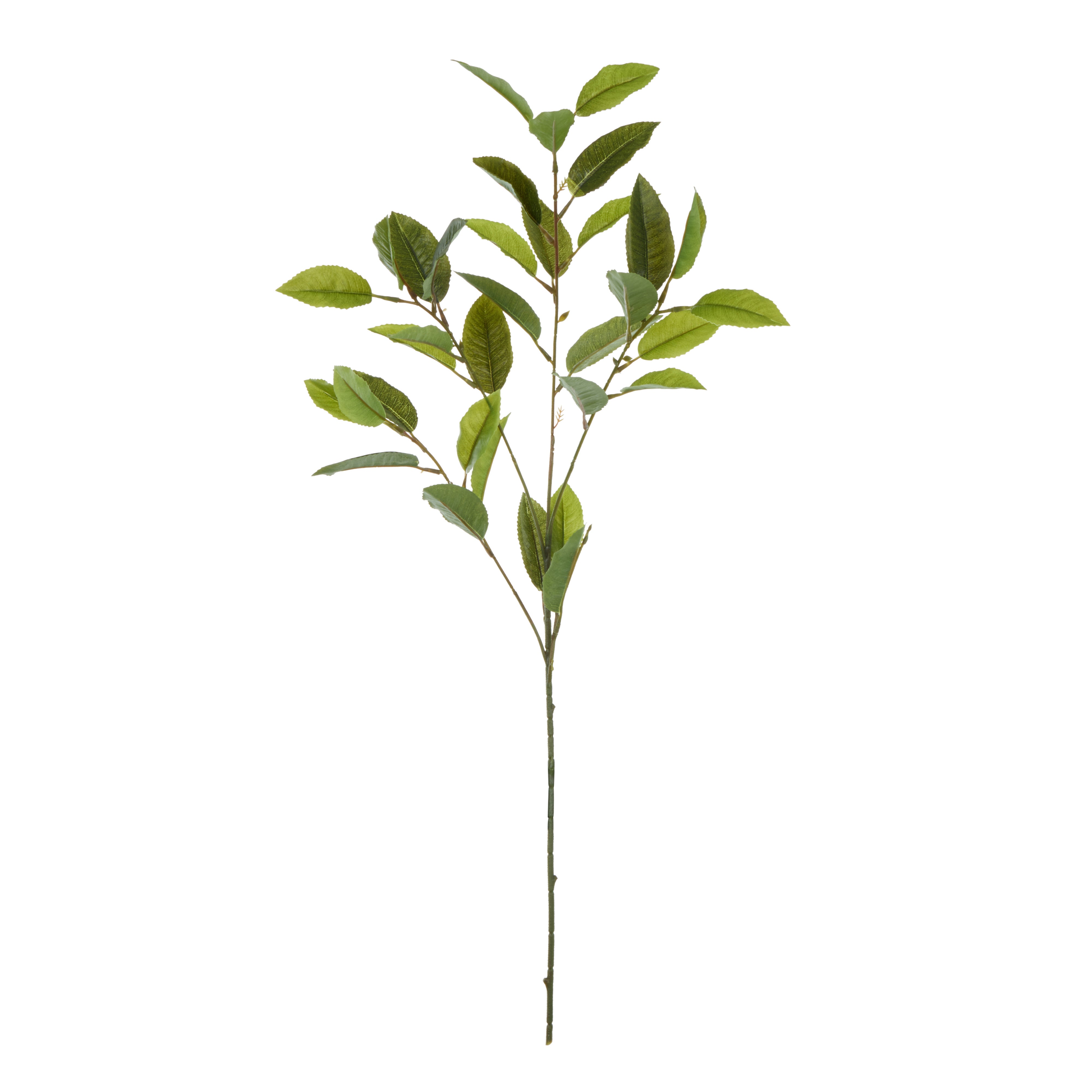 Rogue Viburnum Spray