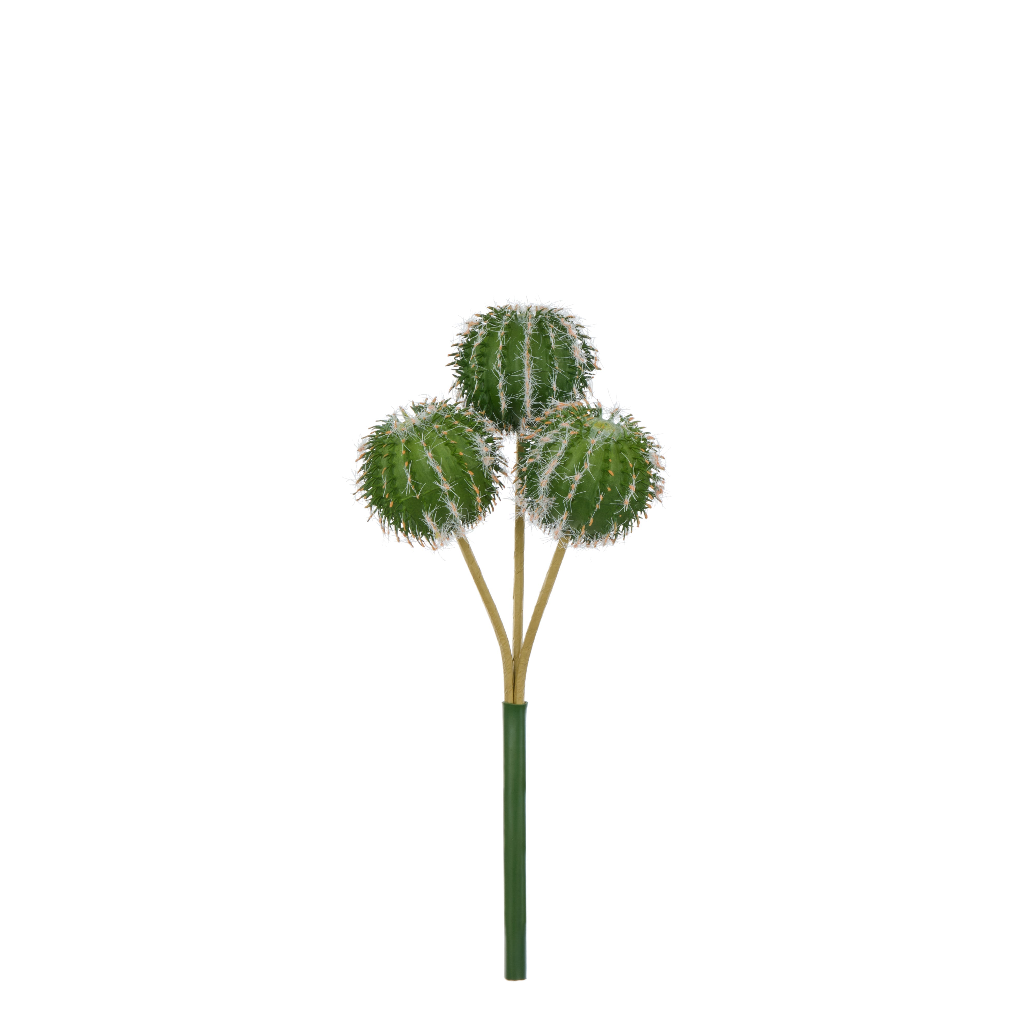 Rogue Barrel Cactus Spray