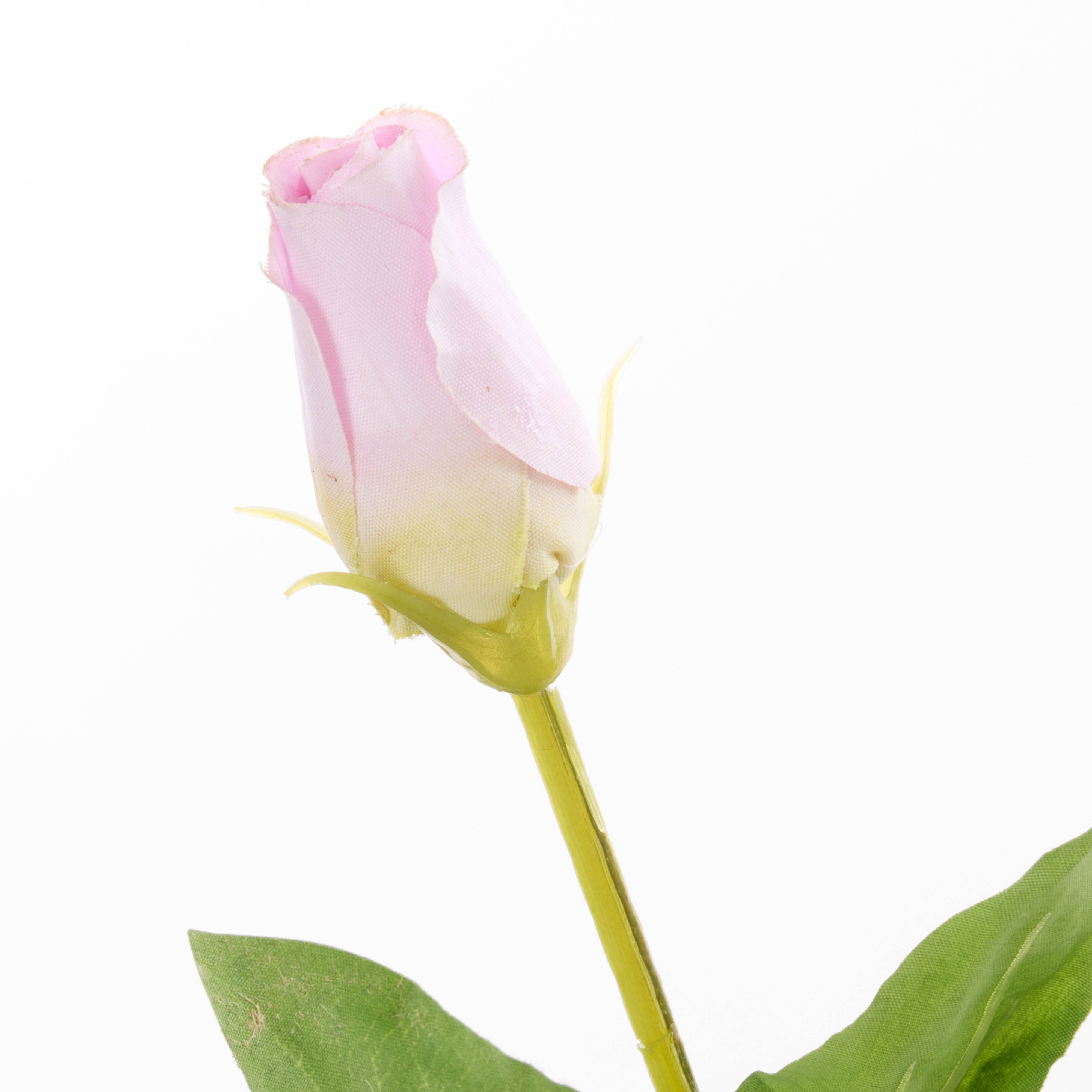 Rogue Lisianthus - Specimen Glass Vase Light Purple