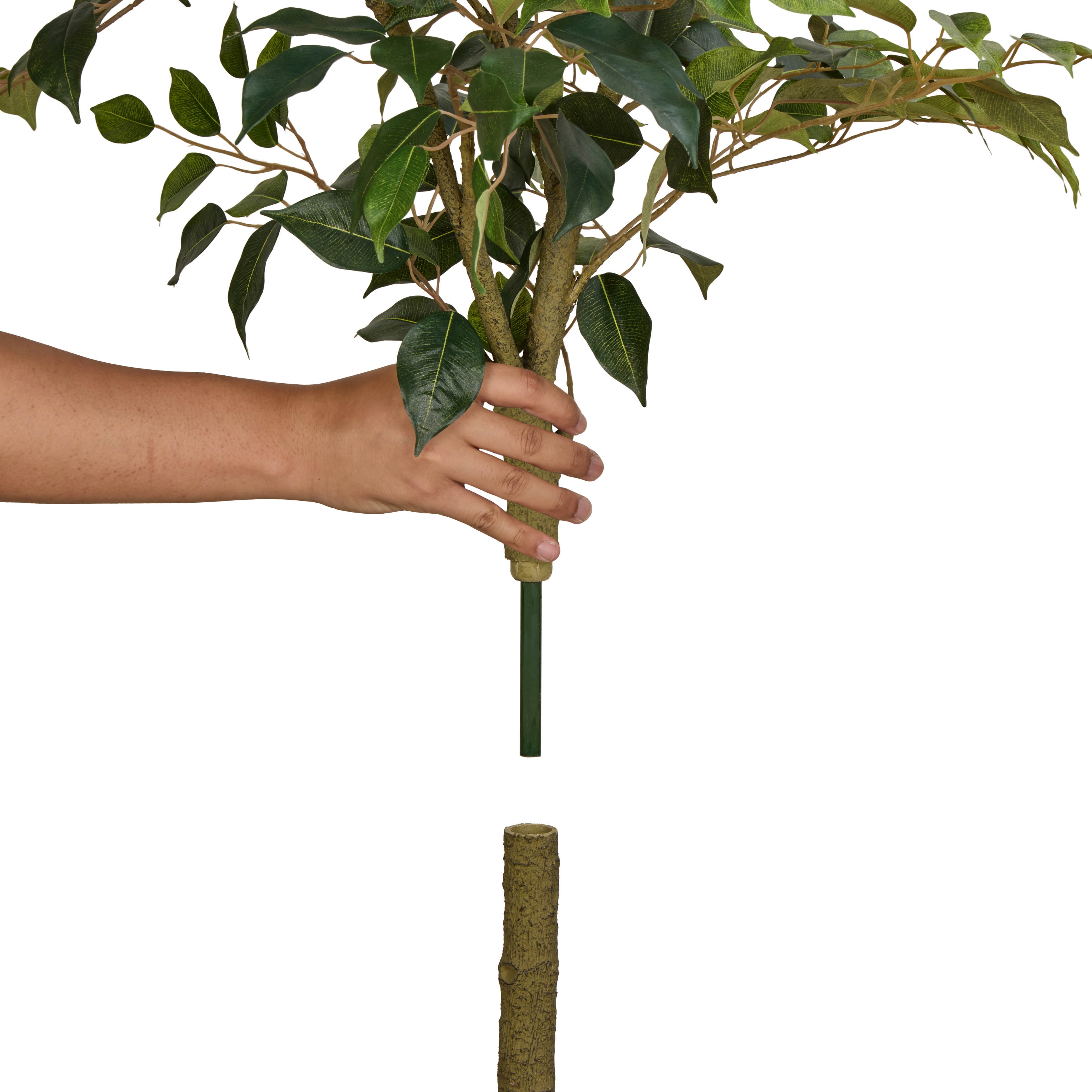 Rogue Ficus Tree Pot Green 150cm