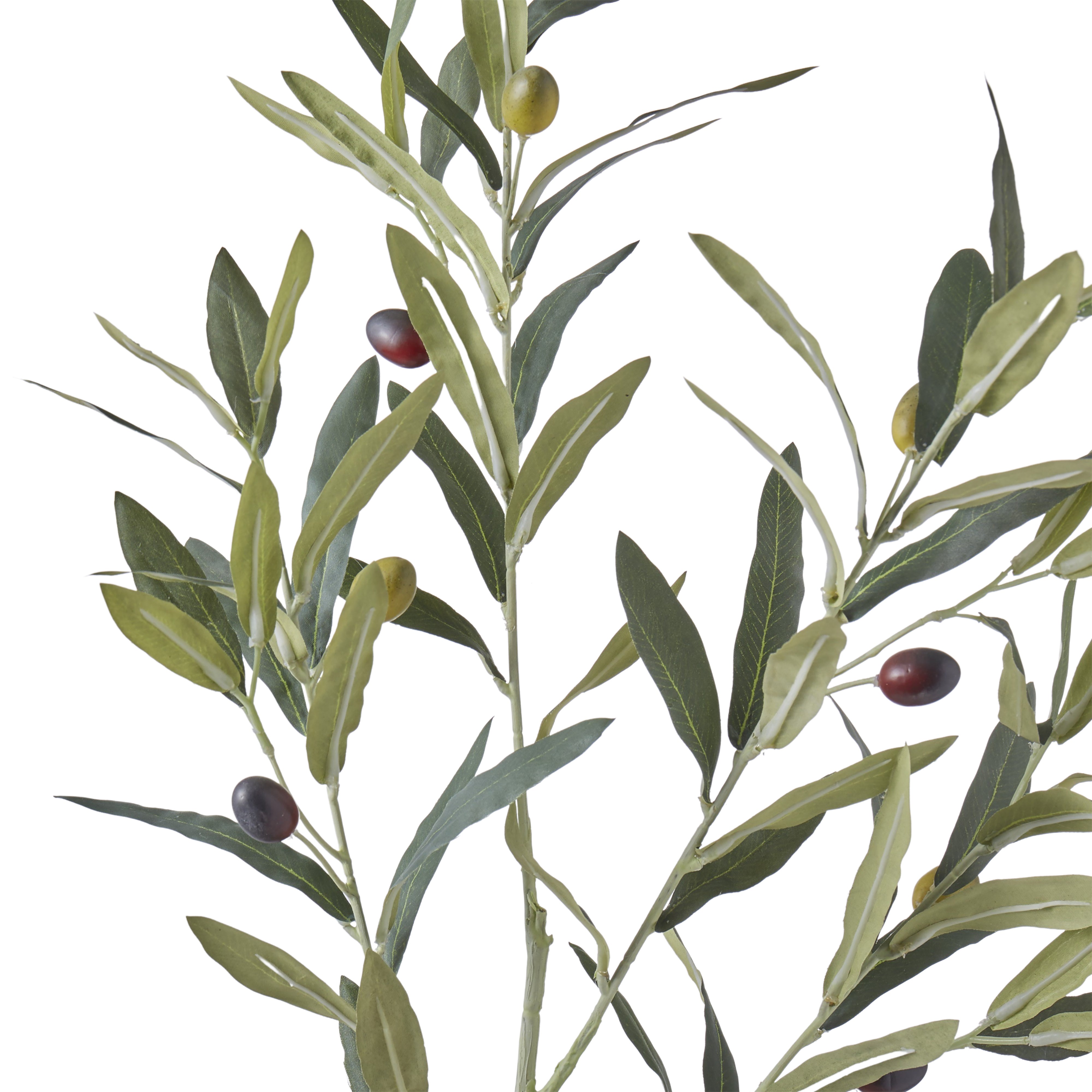 Rogue Olive Spray 97cm