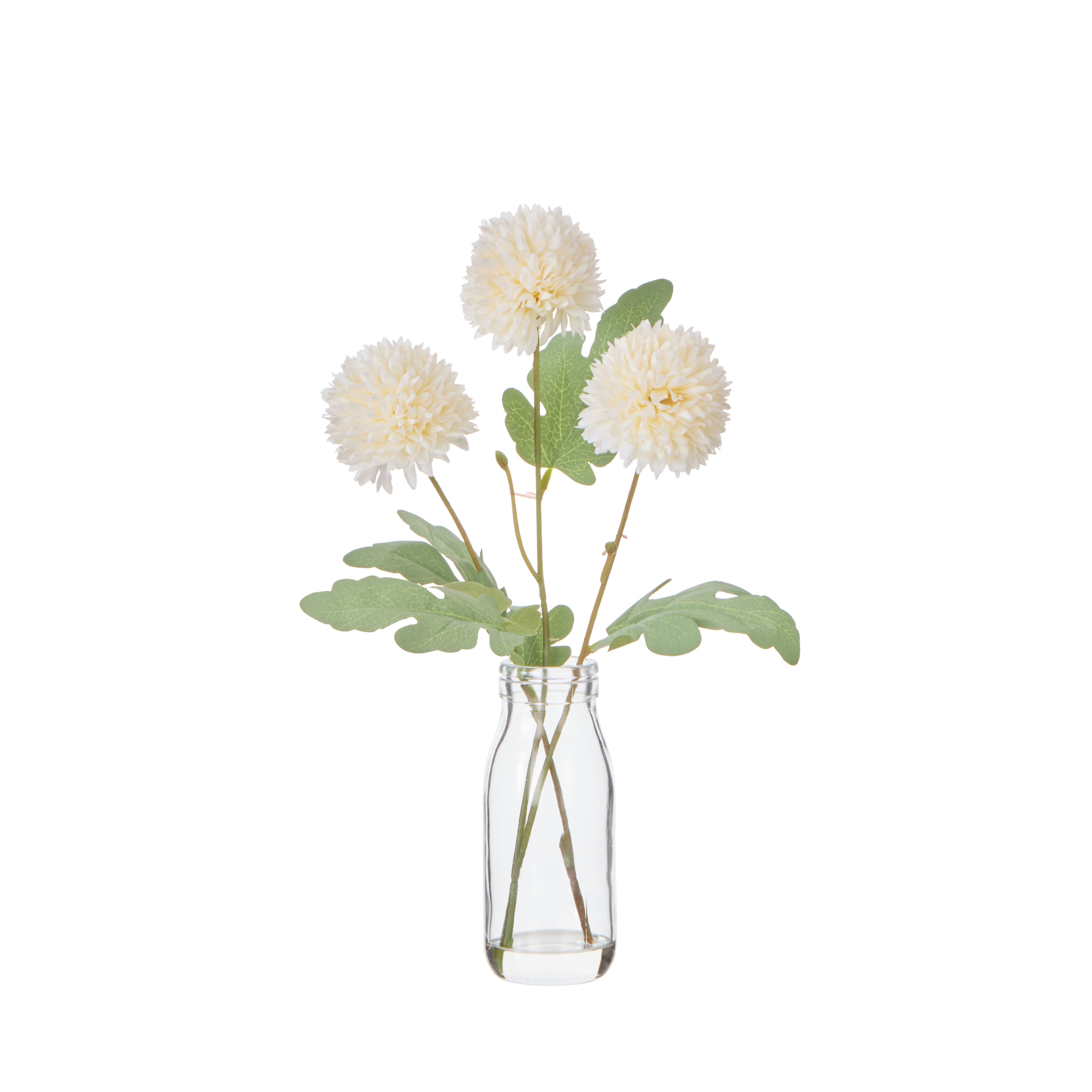 Rogue Kiku in Milk Bottle Ivory