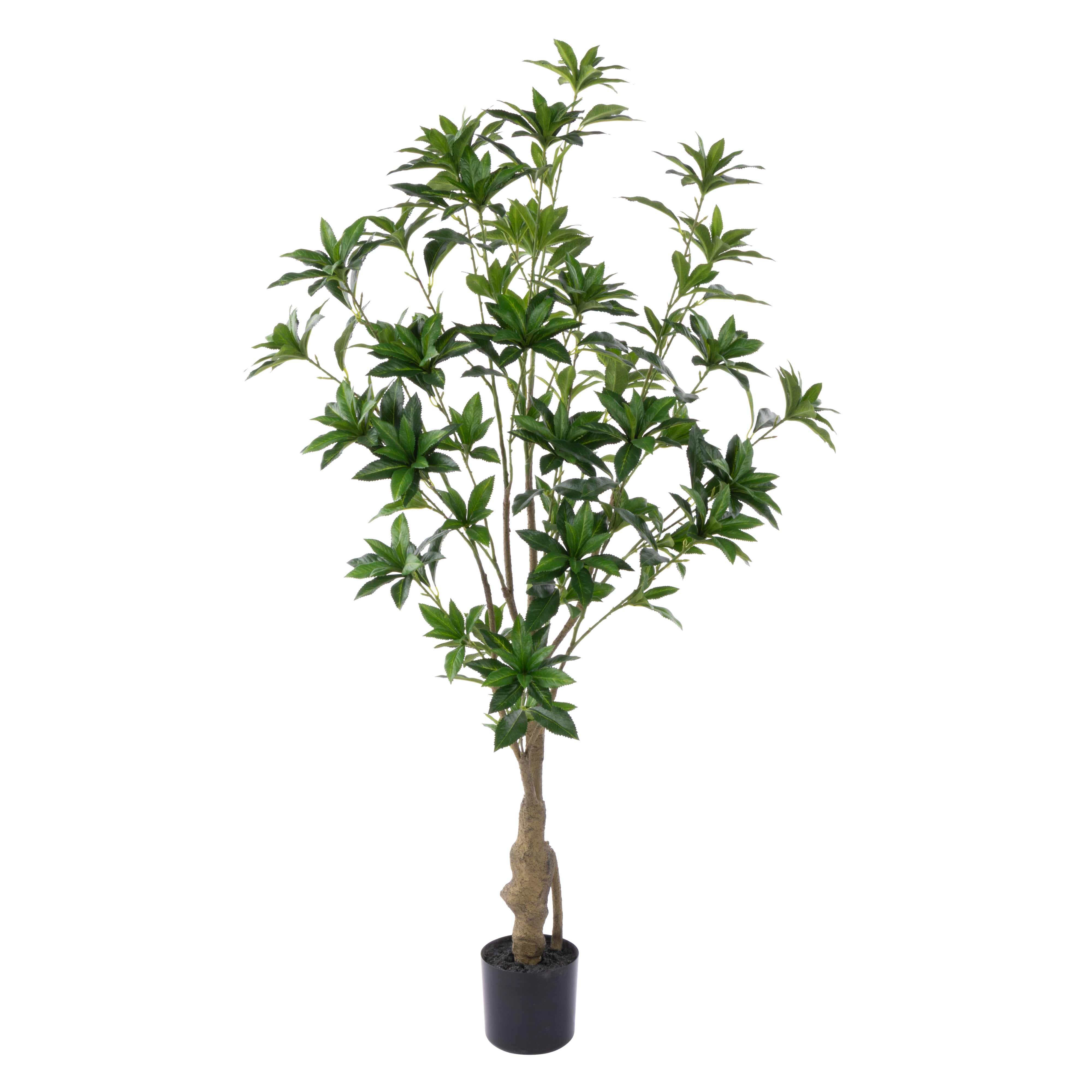 Rogue Japonica Tree UV - Garden Pot 120cm