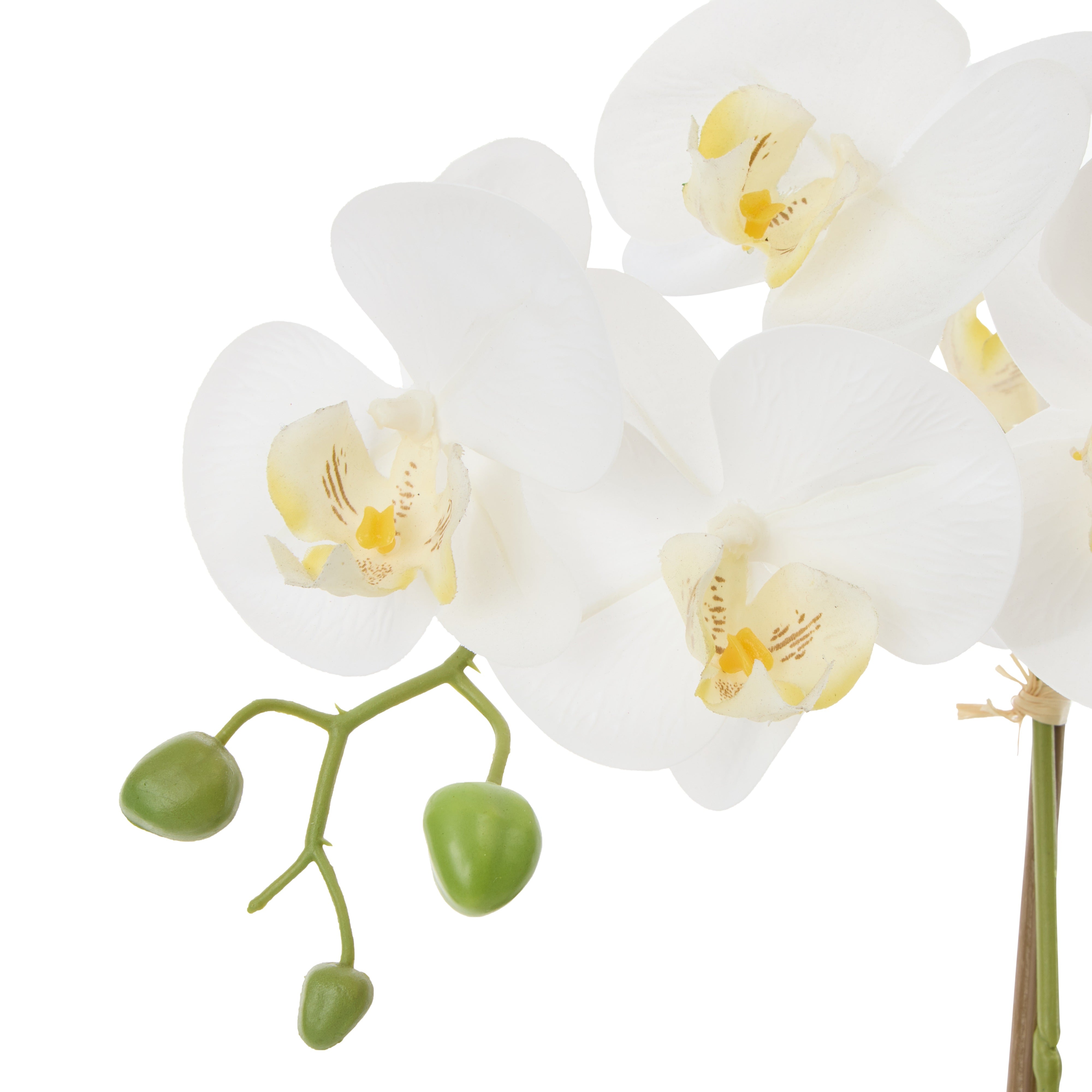 Rogue Phalaenopsis Orchid Pot White 44cm