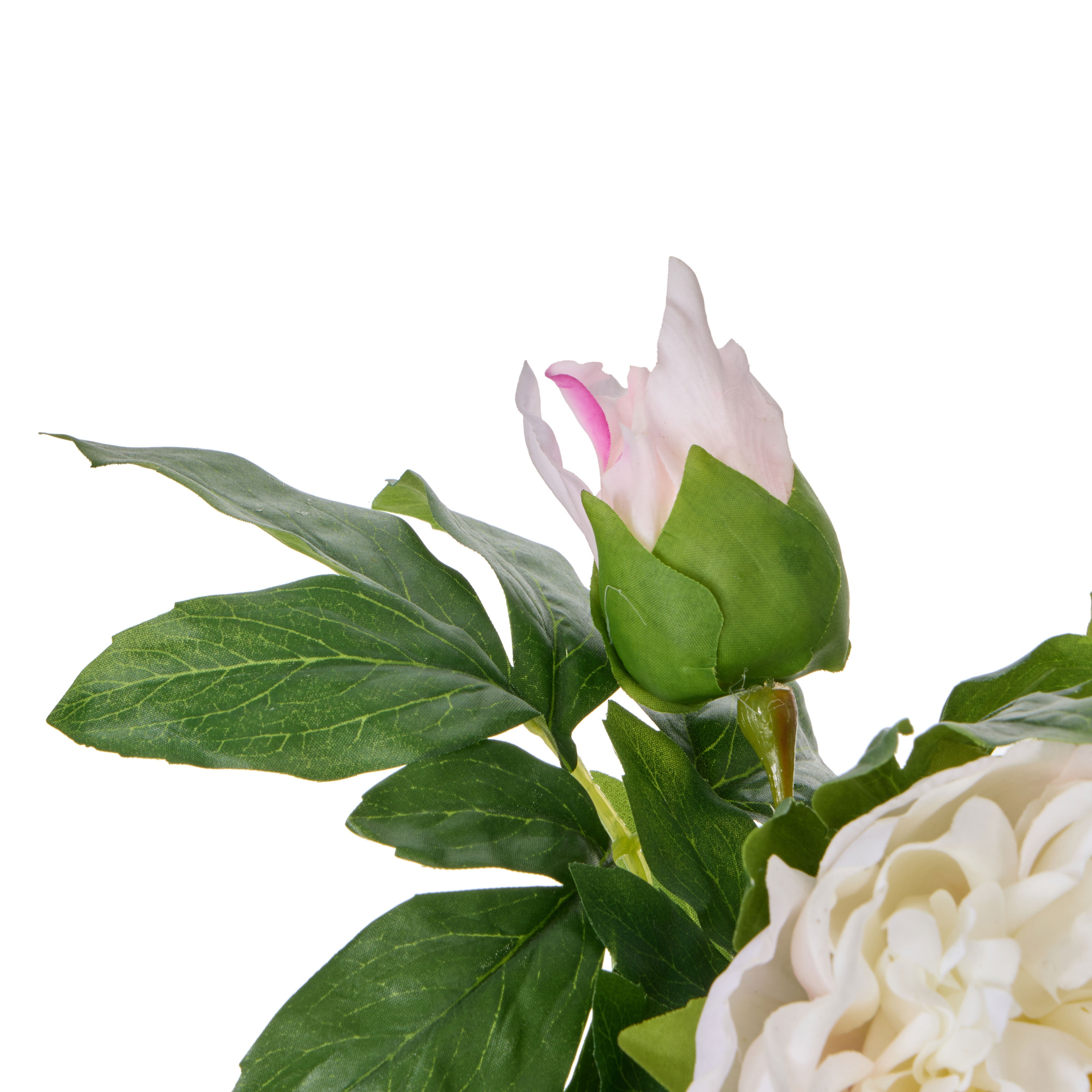 Rogue Peony Real Touch Sphere Vase White & Pink