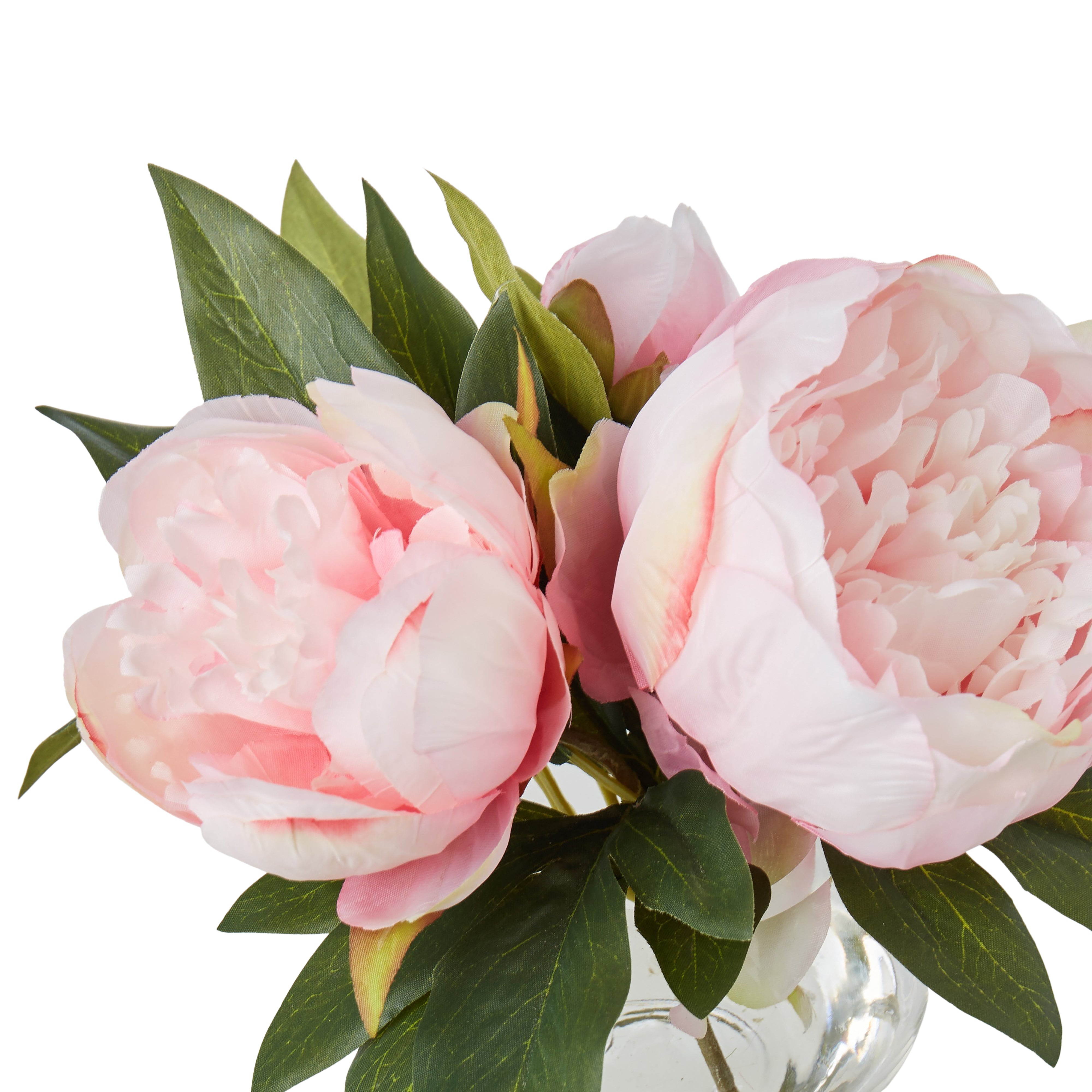 Rogue Peony - Sphere Vase Pink