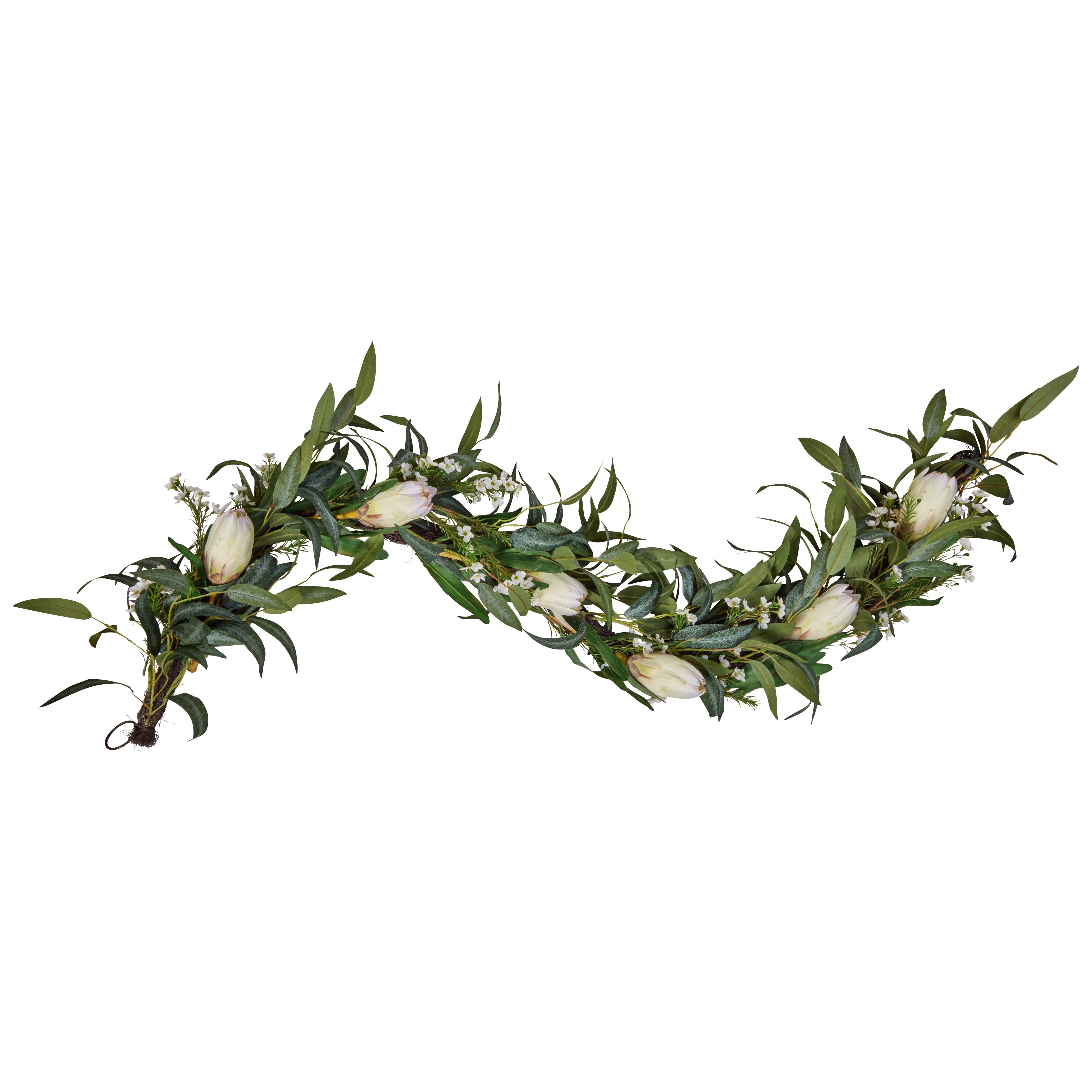 Rogue Pitaya Eucalyptus Garland Cream