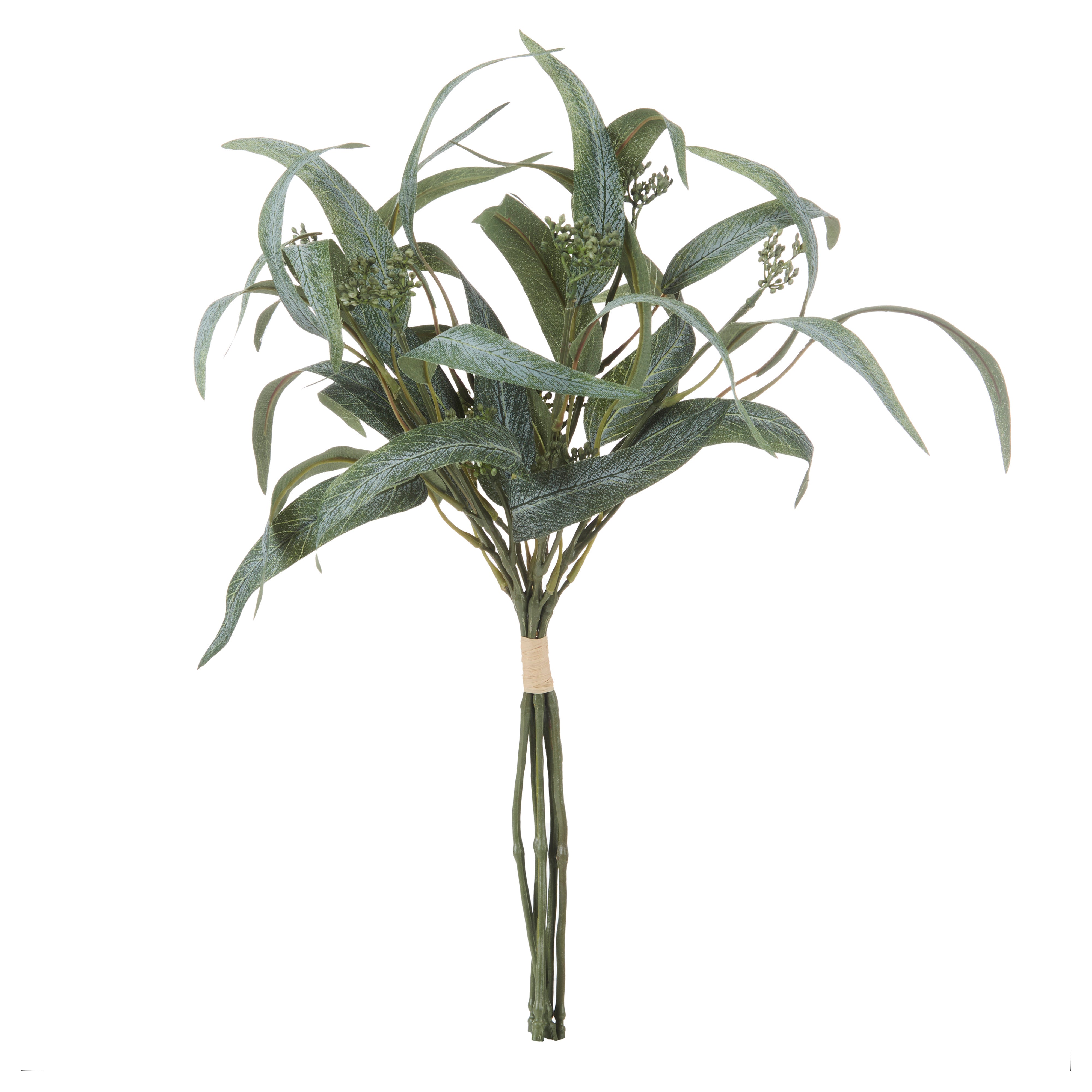 Rogue Eucalyptus Seeding Bunch