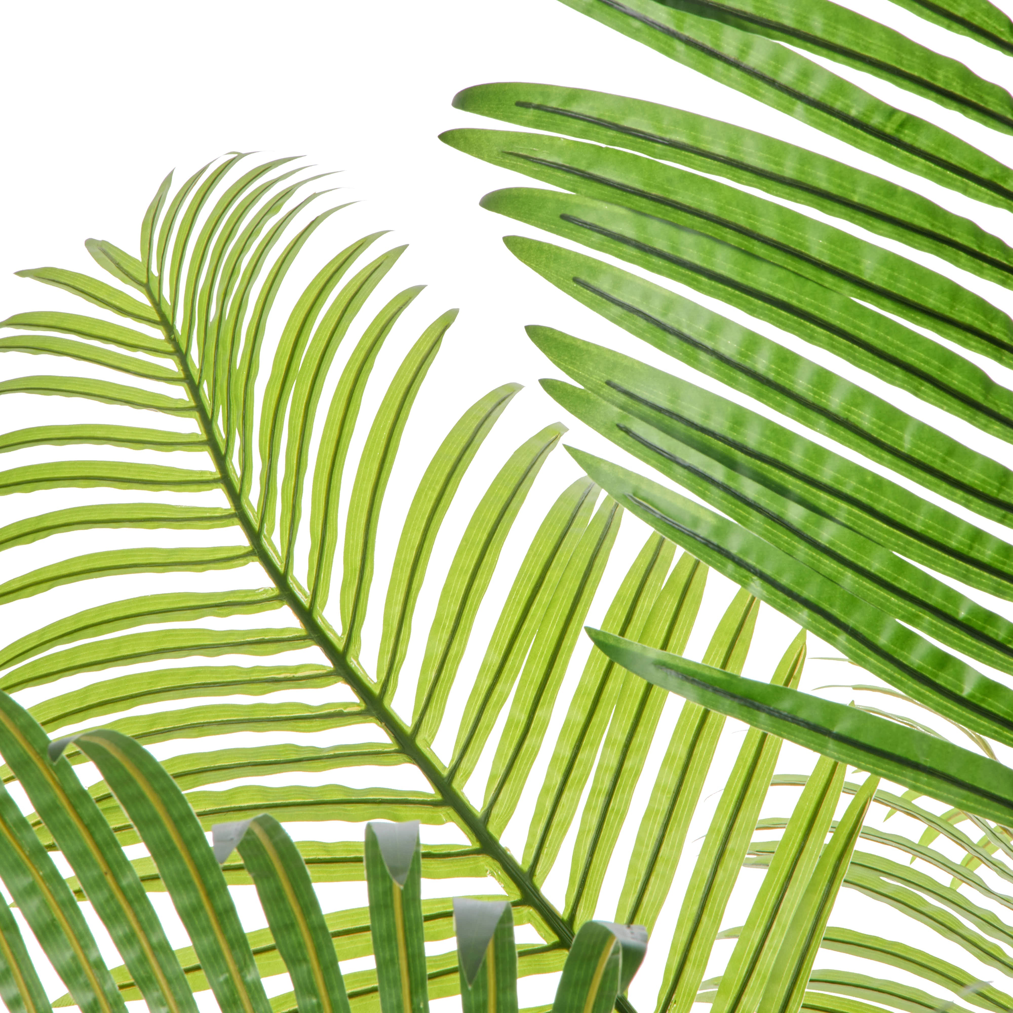 Rogue Areca Palm - Cylinder UV Green 189cm