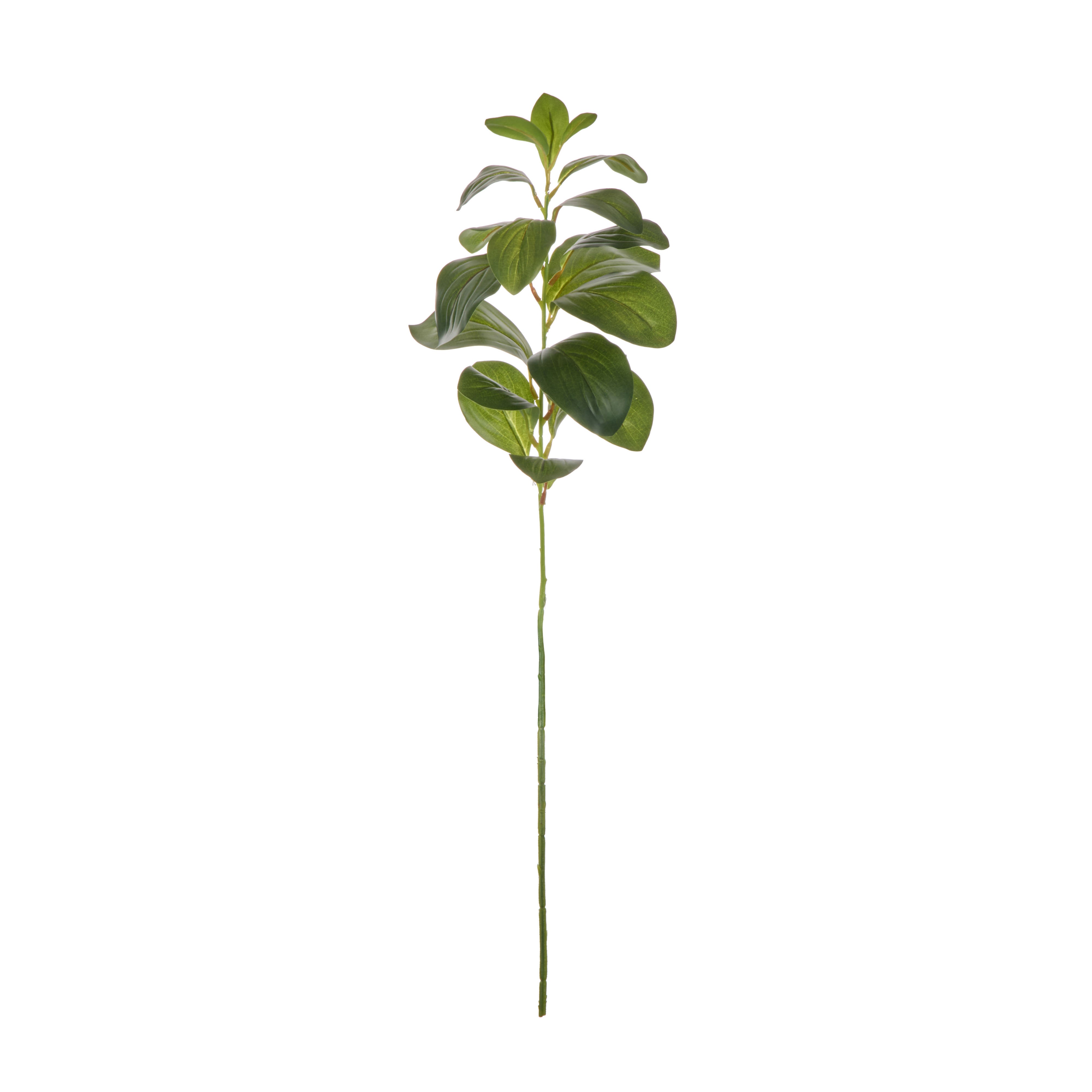 Rogue Lush Leaf Single Stem