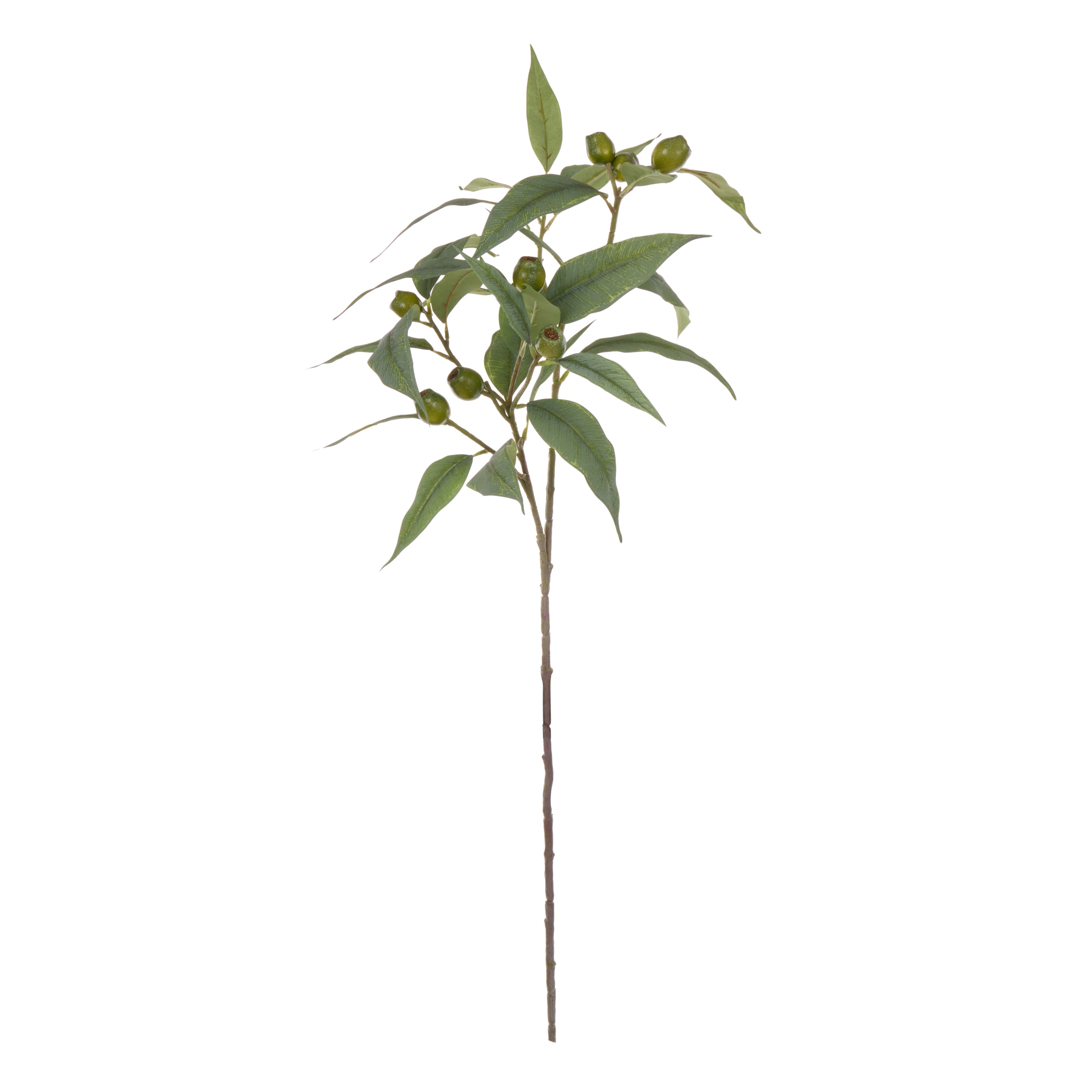 Rogue Eucalyptus Gumnut Spray 79cm