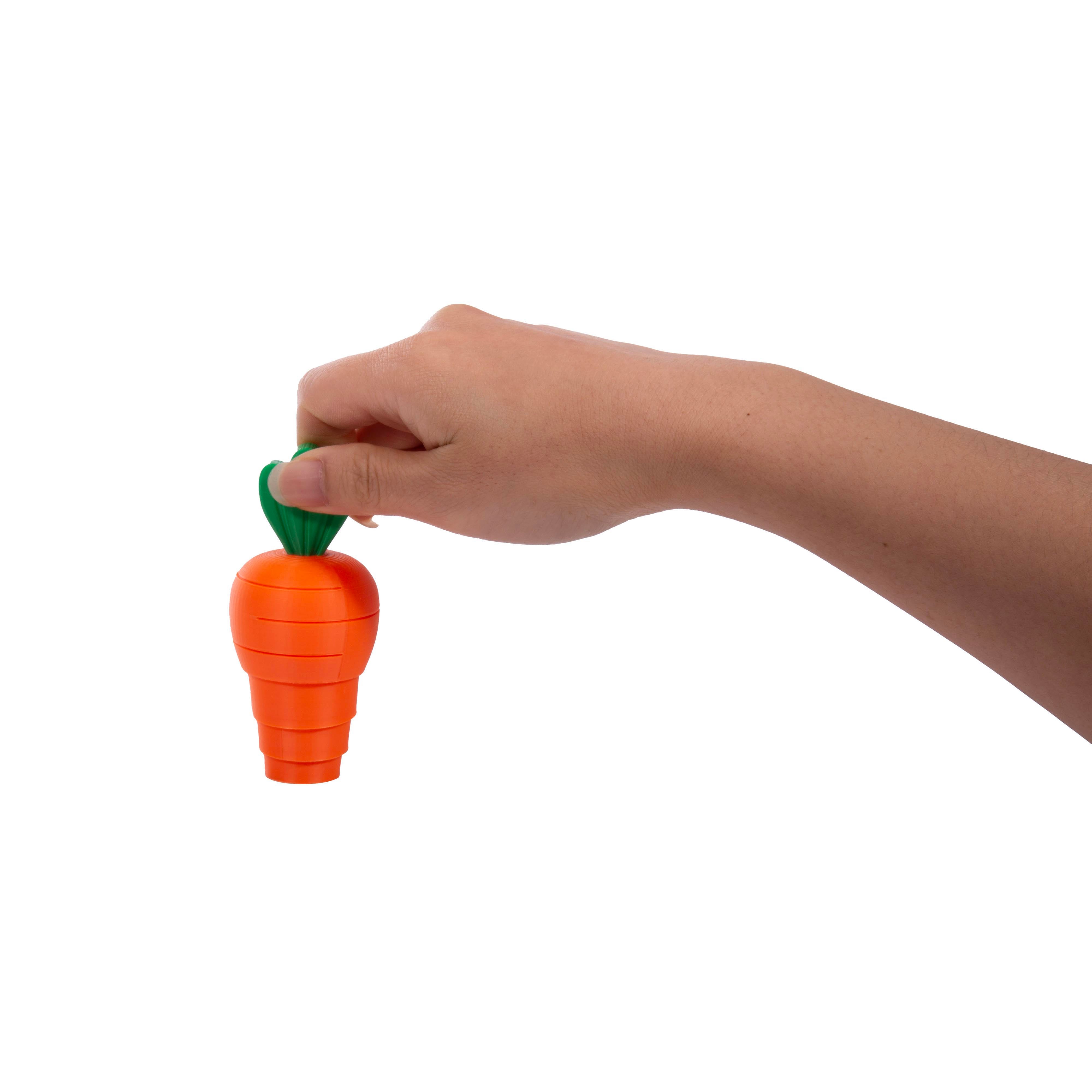 Discovery Zone 3D Sensory Carrot