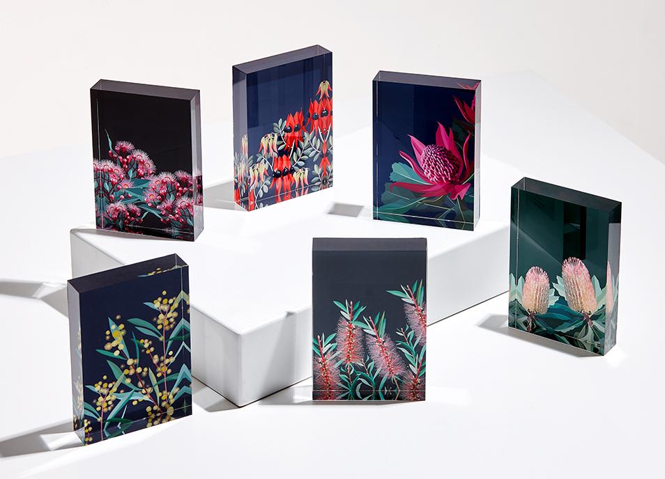 Ashdene Native Grace Banksia Mini Gallery