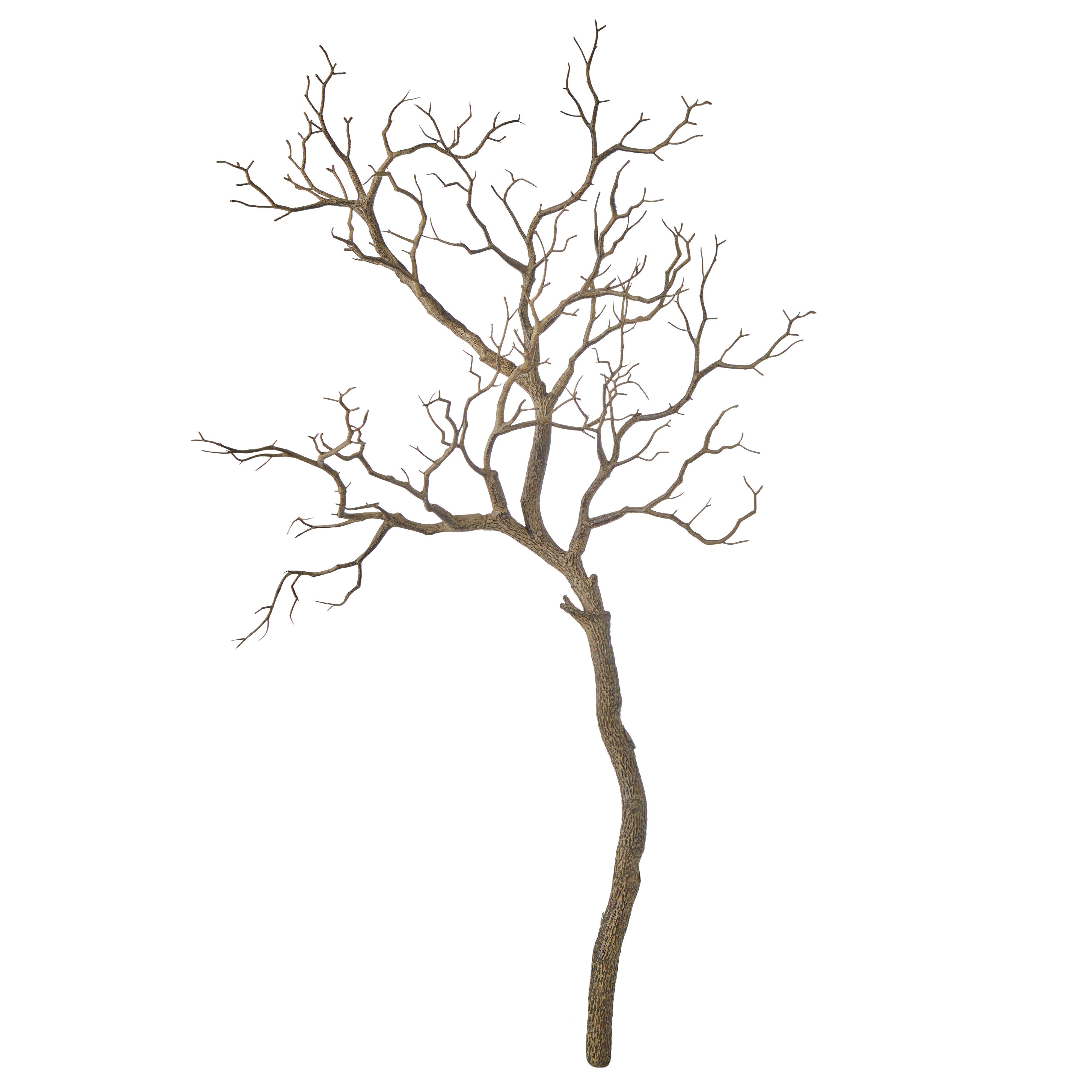 Rogue Single Try Branch