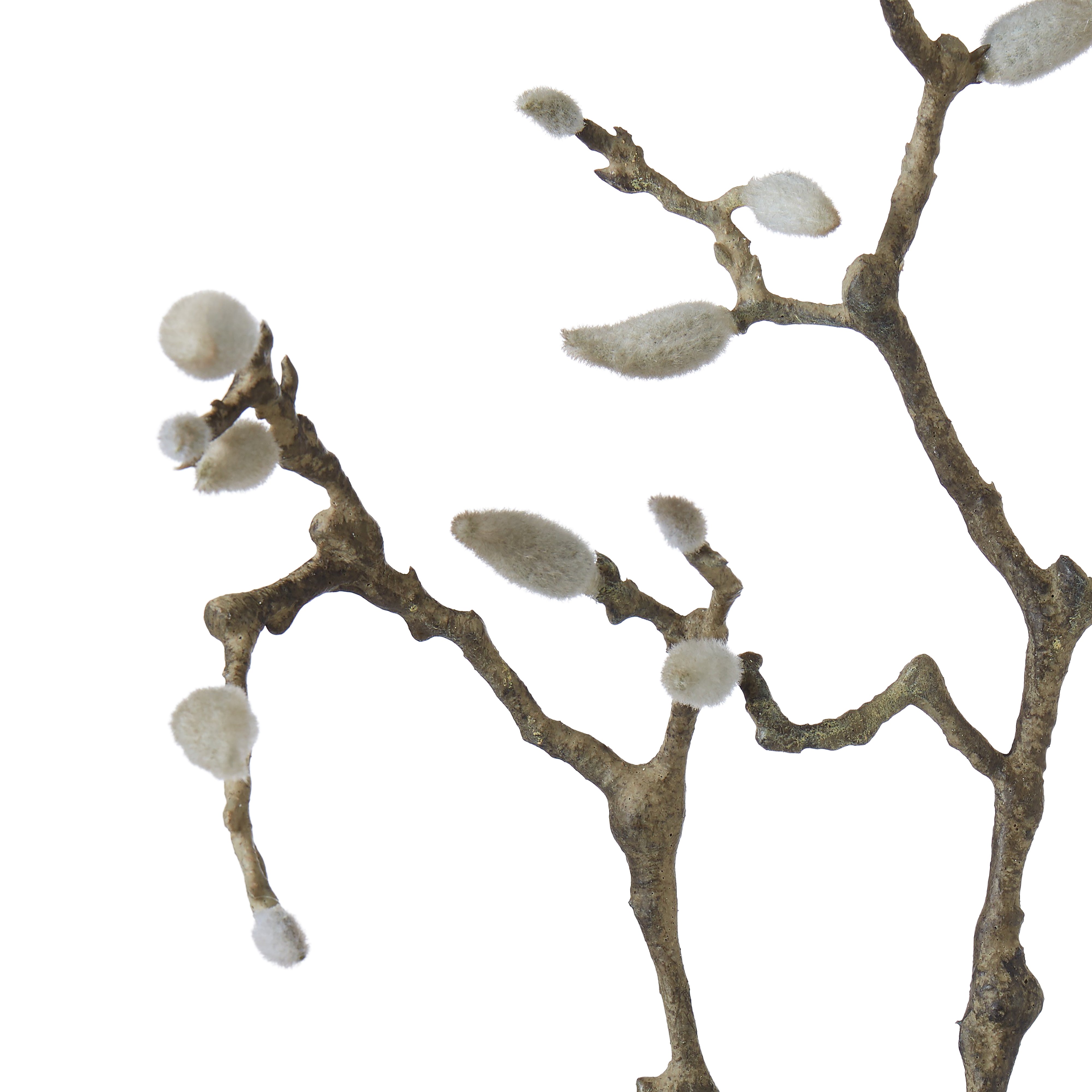 Rogue Tree Magnolia Bud