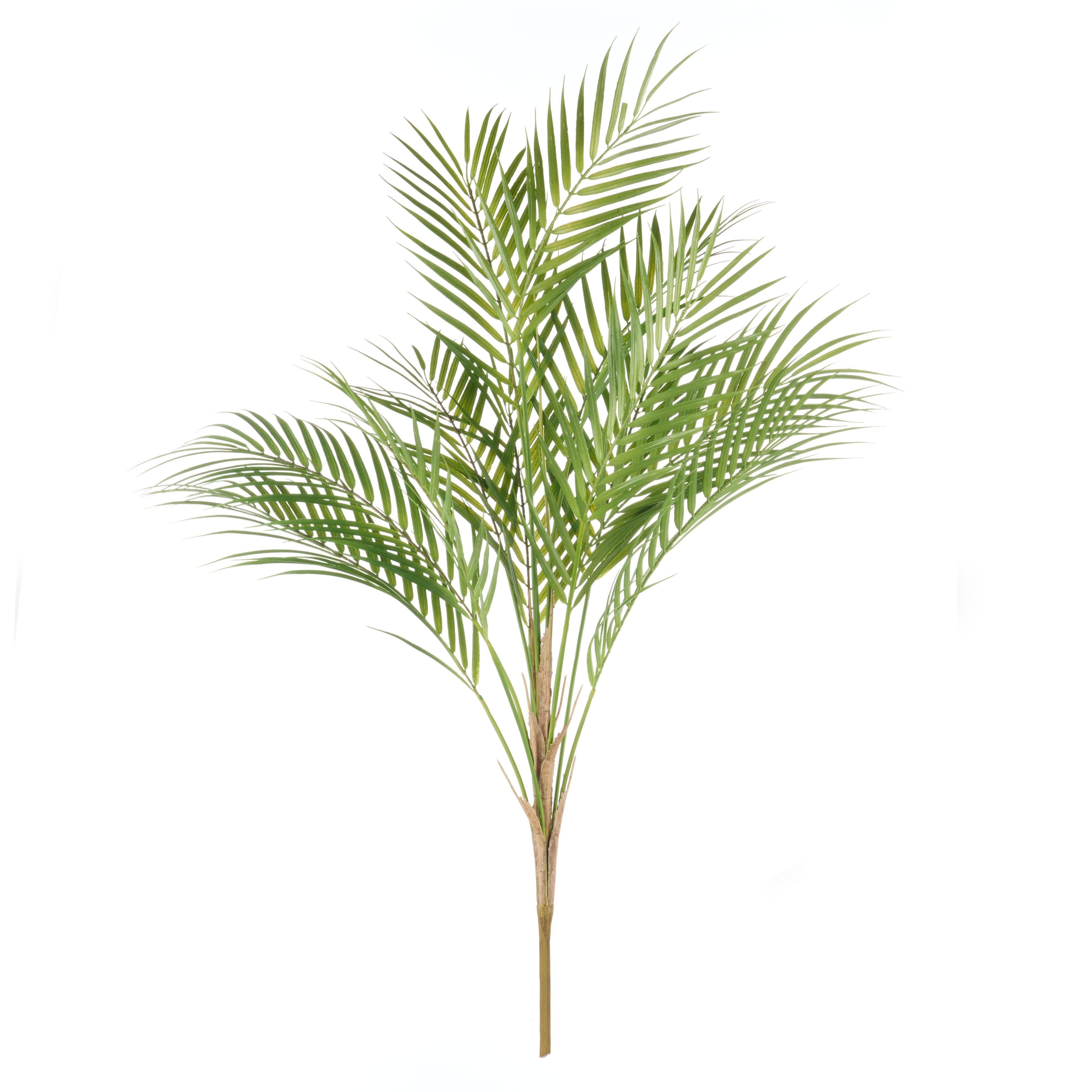 Rogue Phoenix Palm 89cm