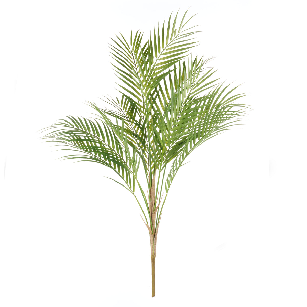 Rogue Phoenix Palm 89cm