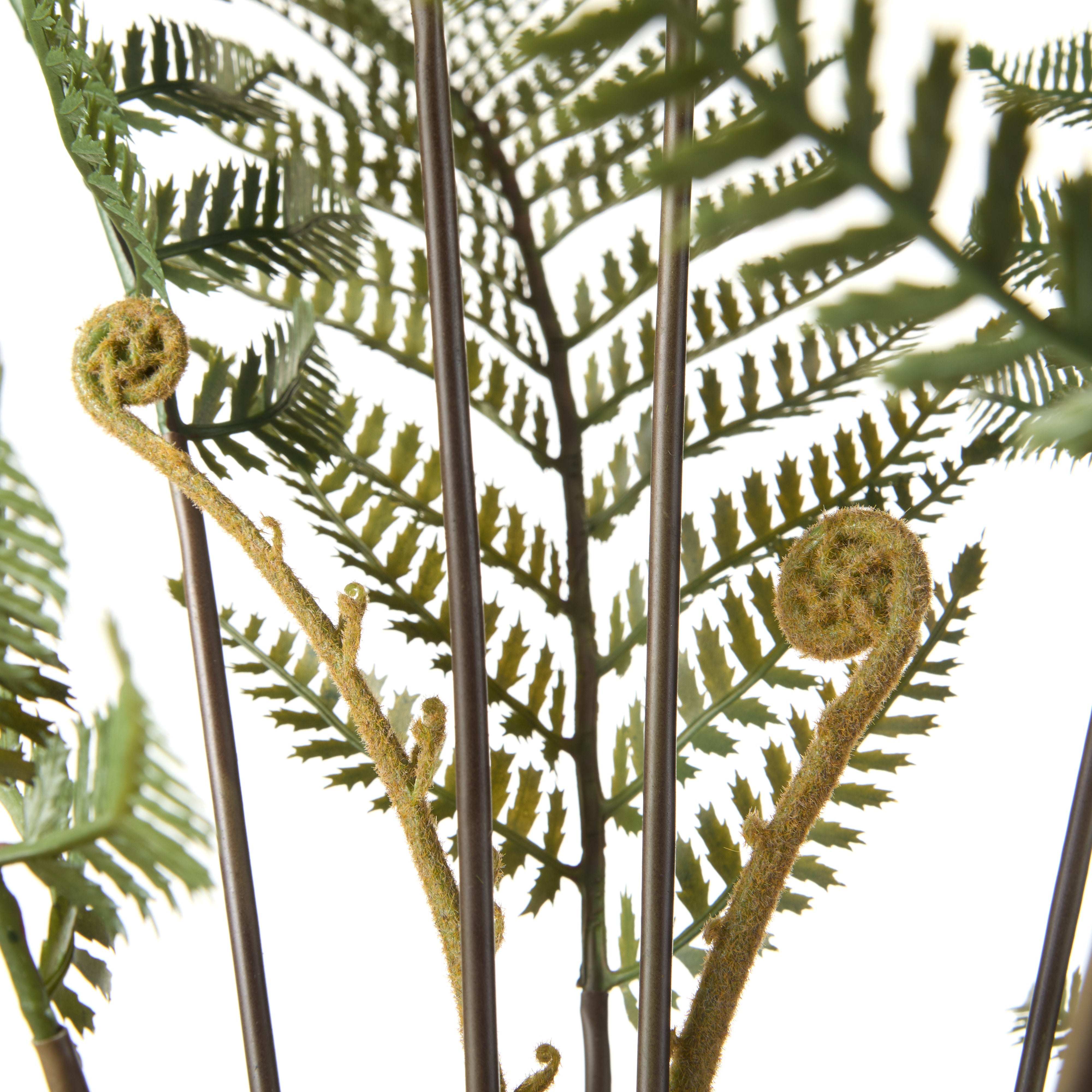 Rogue Fern Pot 69cm