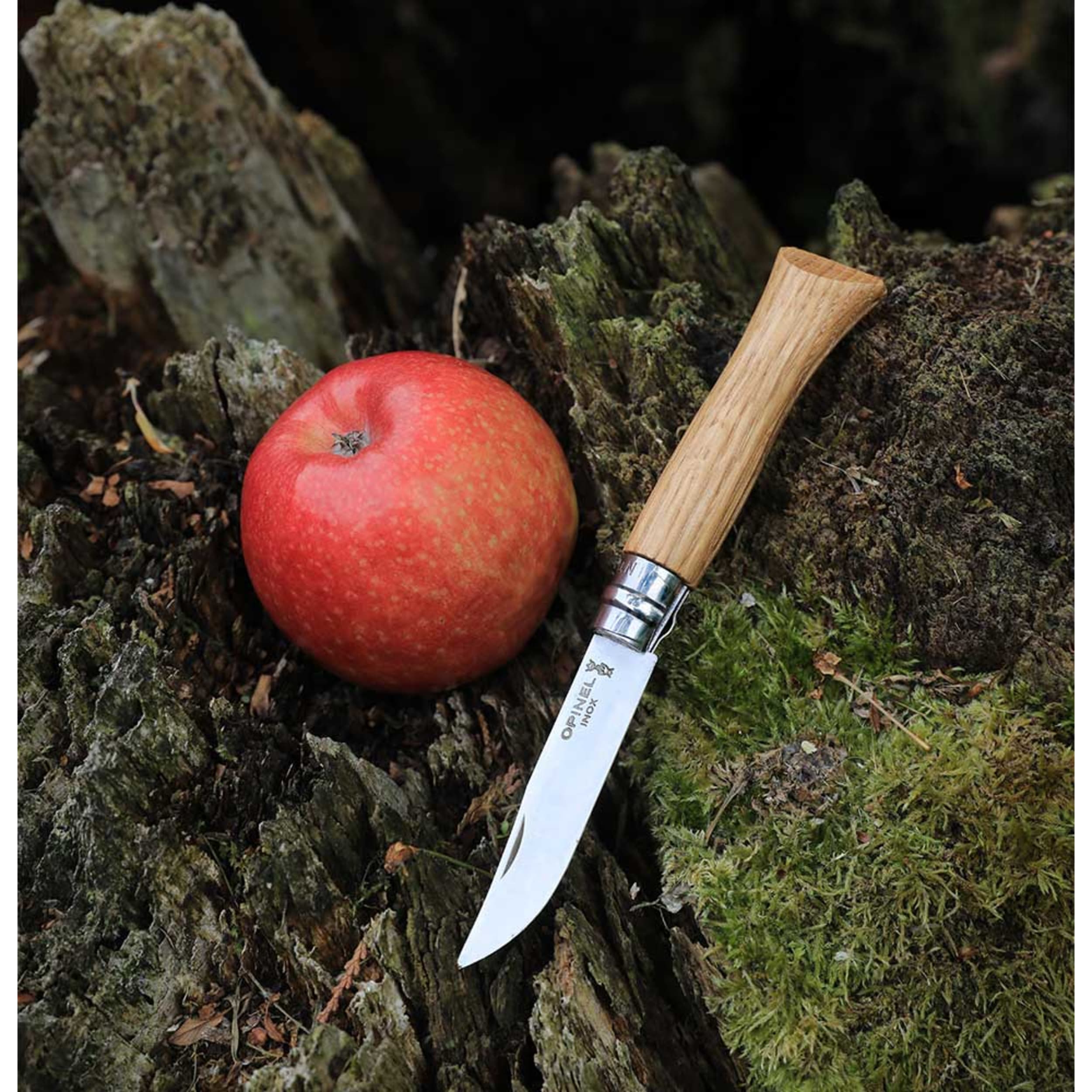 Opinel No.06 Stainless Steel Folding Knife Walnut