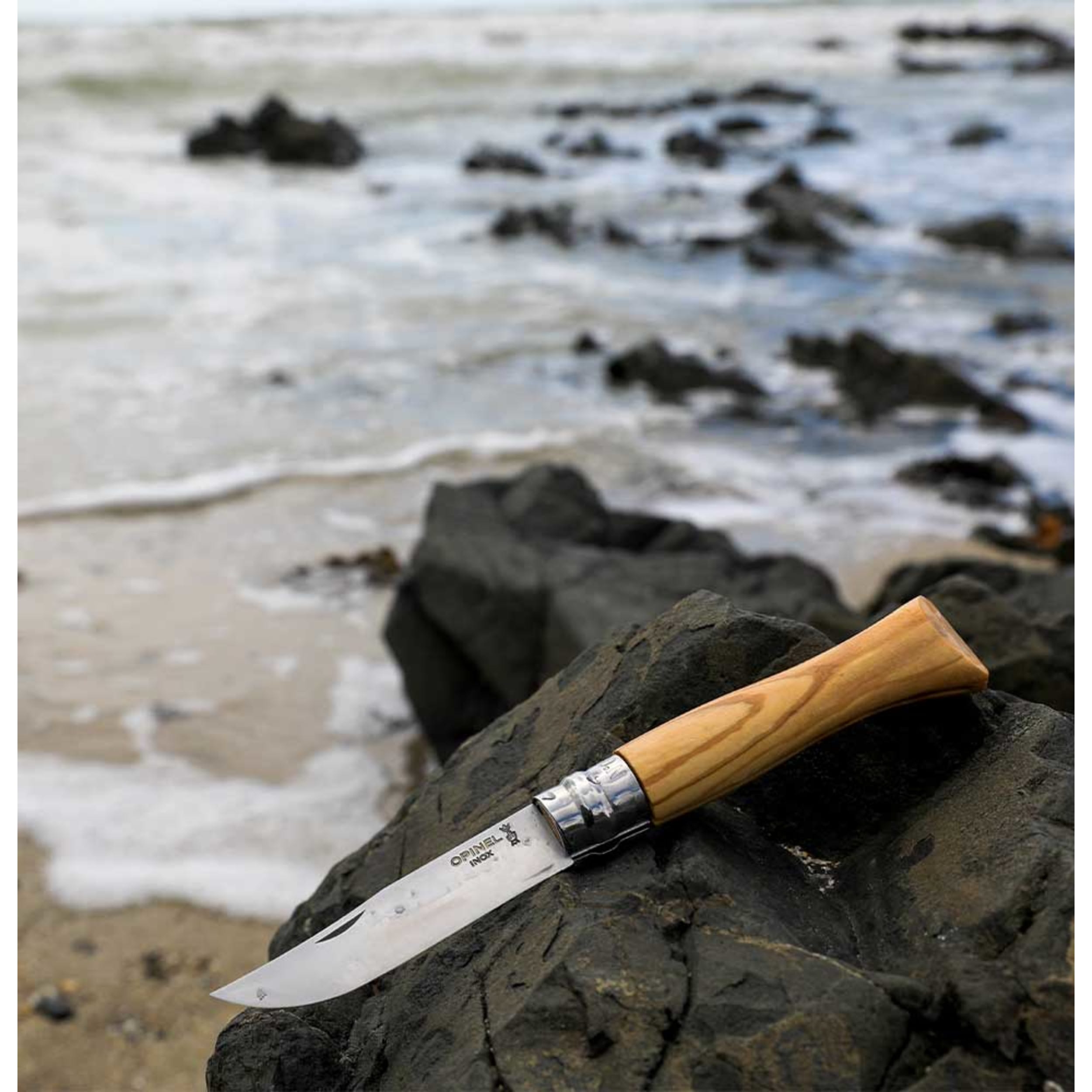 Opinel No.06 Stainless Steel Folding Knife Walnut