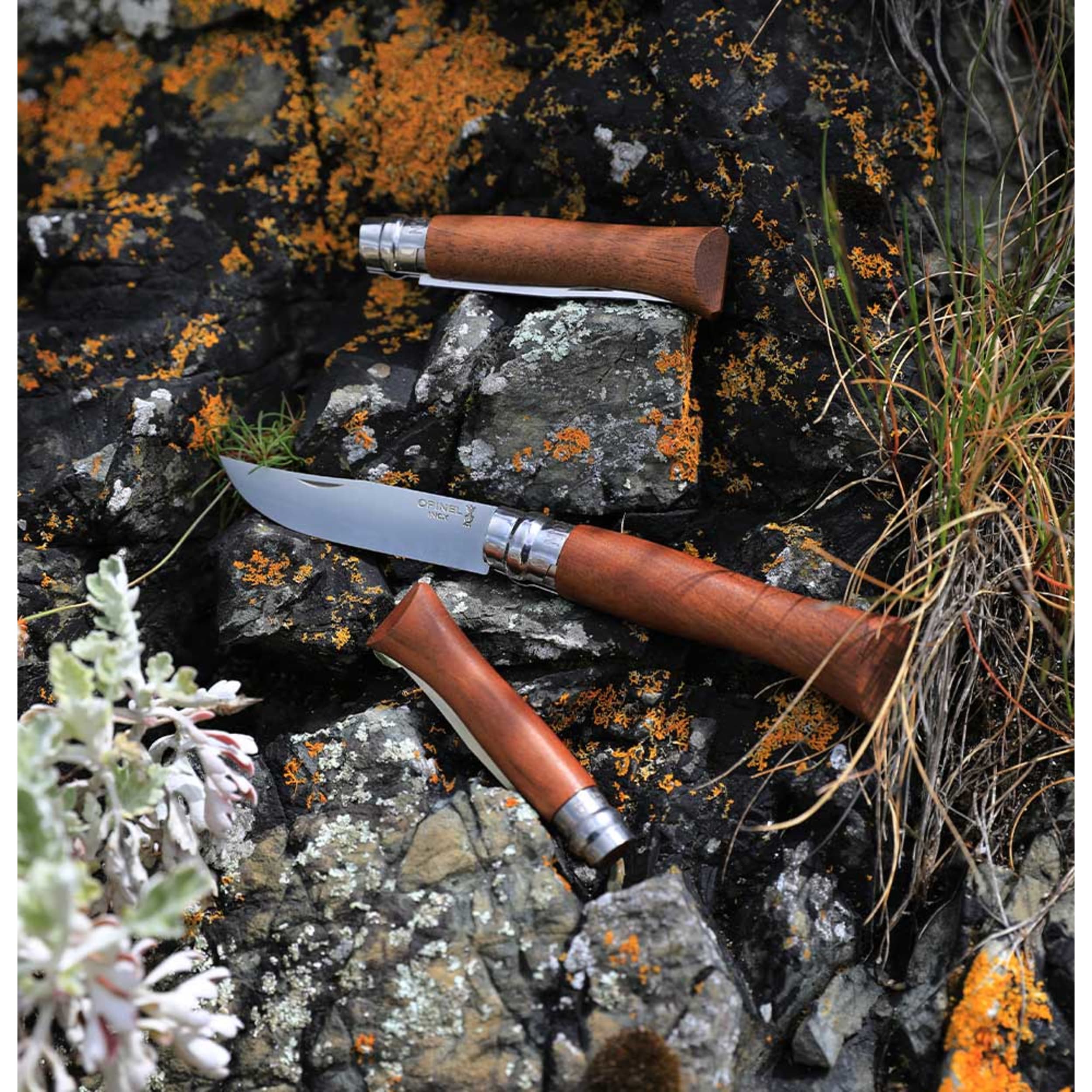 Opinel No.06 Stainless Steel Folding Knife Walnut
