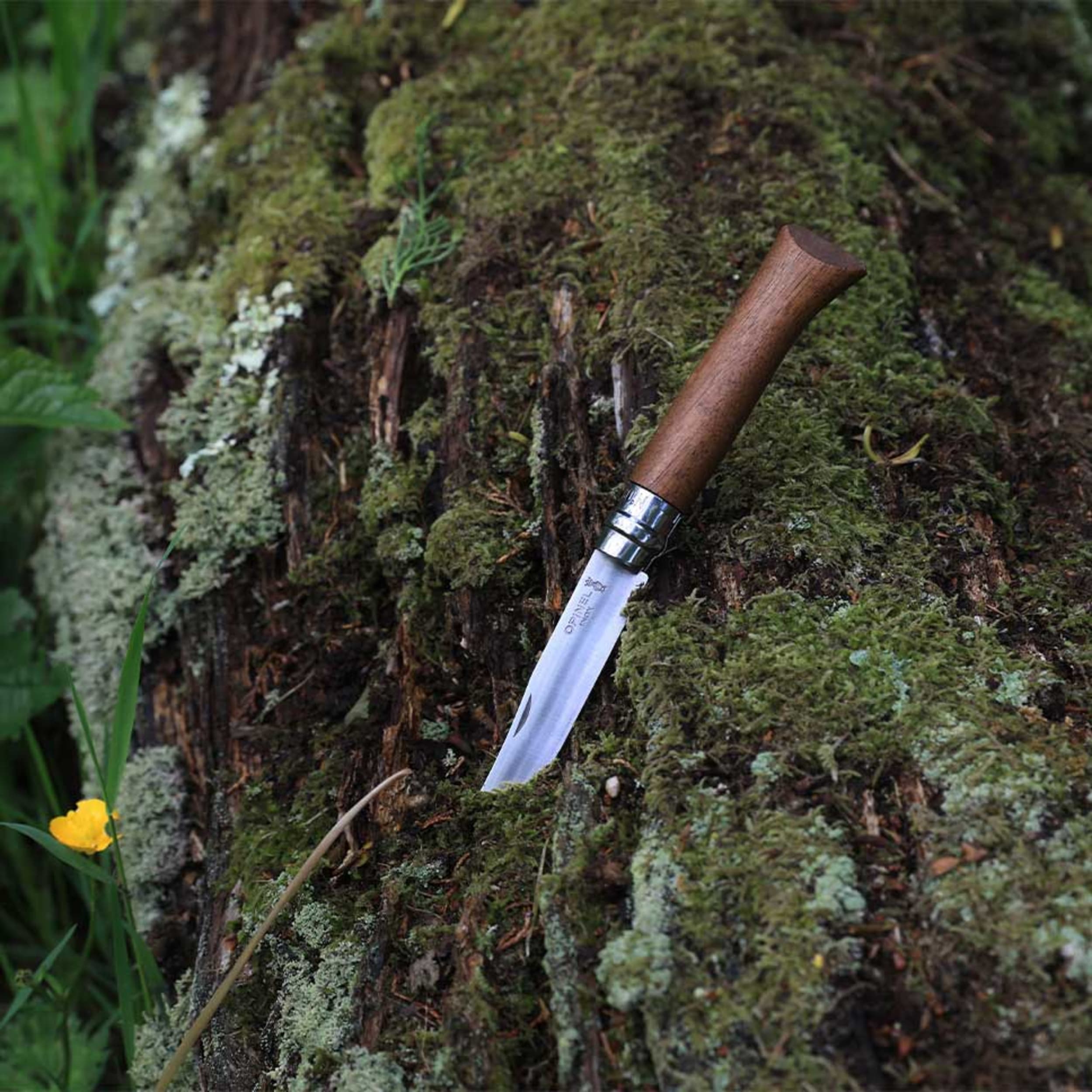 Opinel No.08 Stainless Steel Folding Knife Walnut