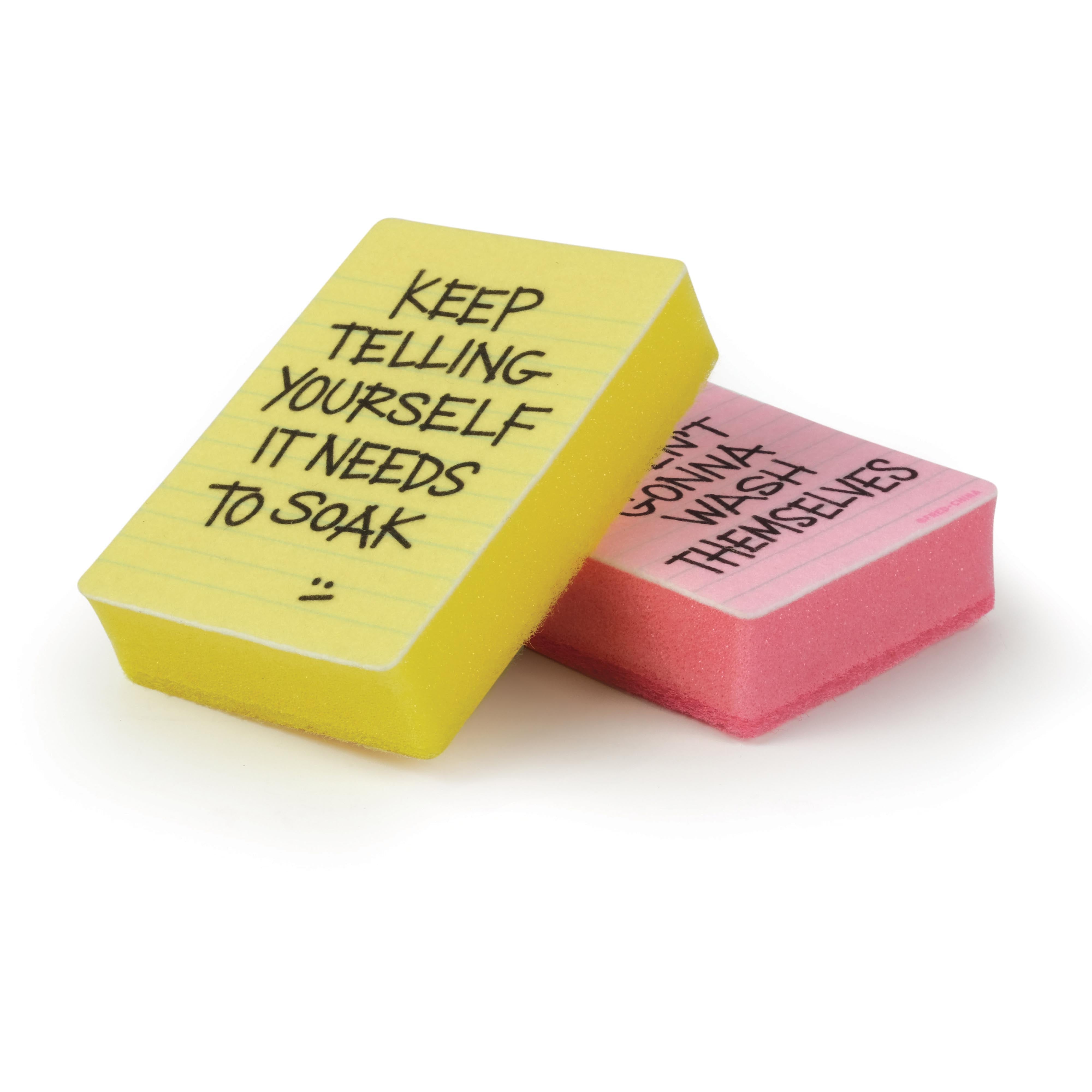 Fred Clean Conscience Sponges 2 Piece Set Multi-Coloured