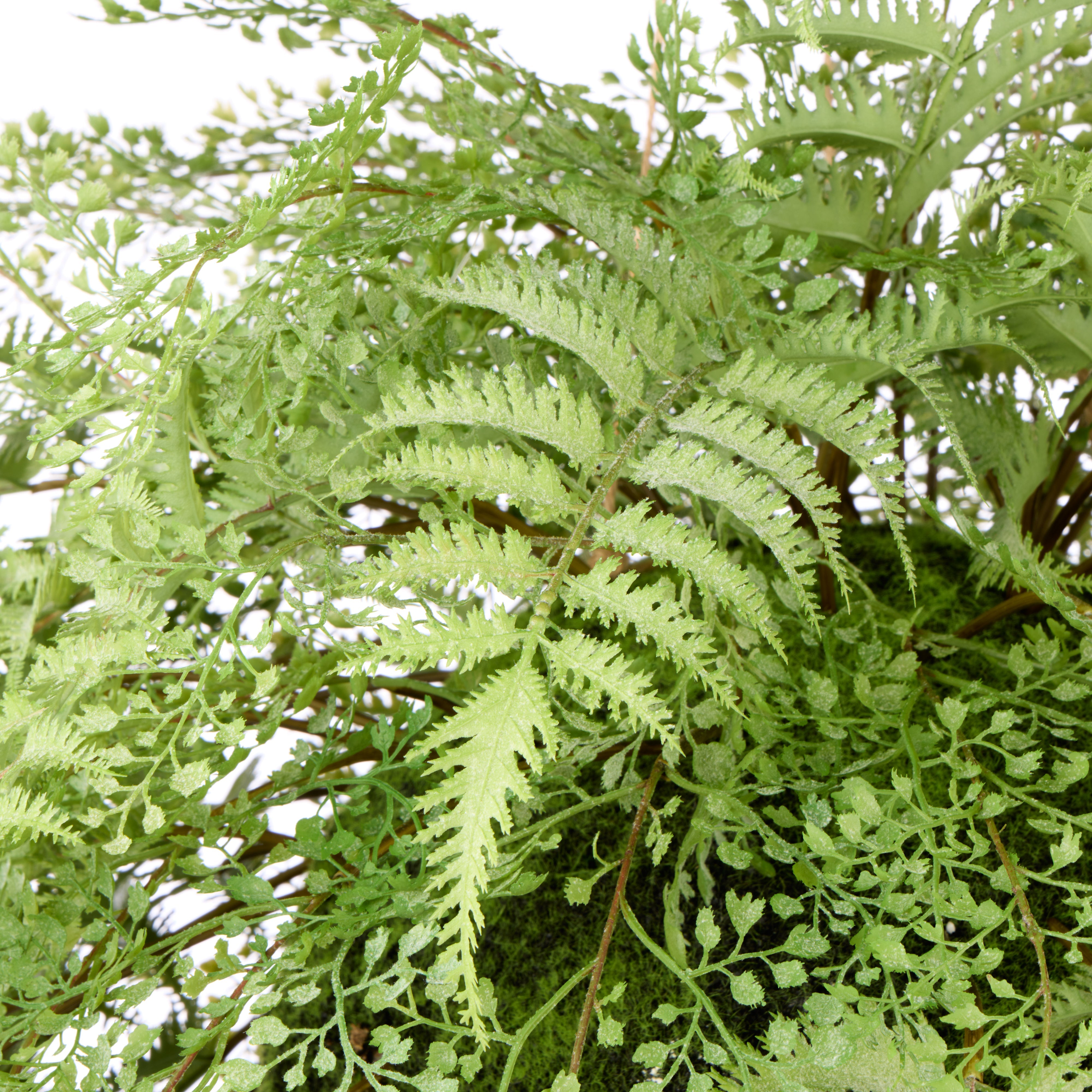 Rogue Gardening Hanging