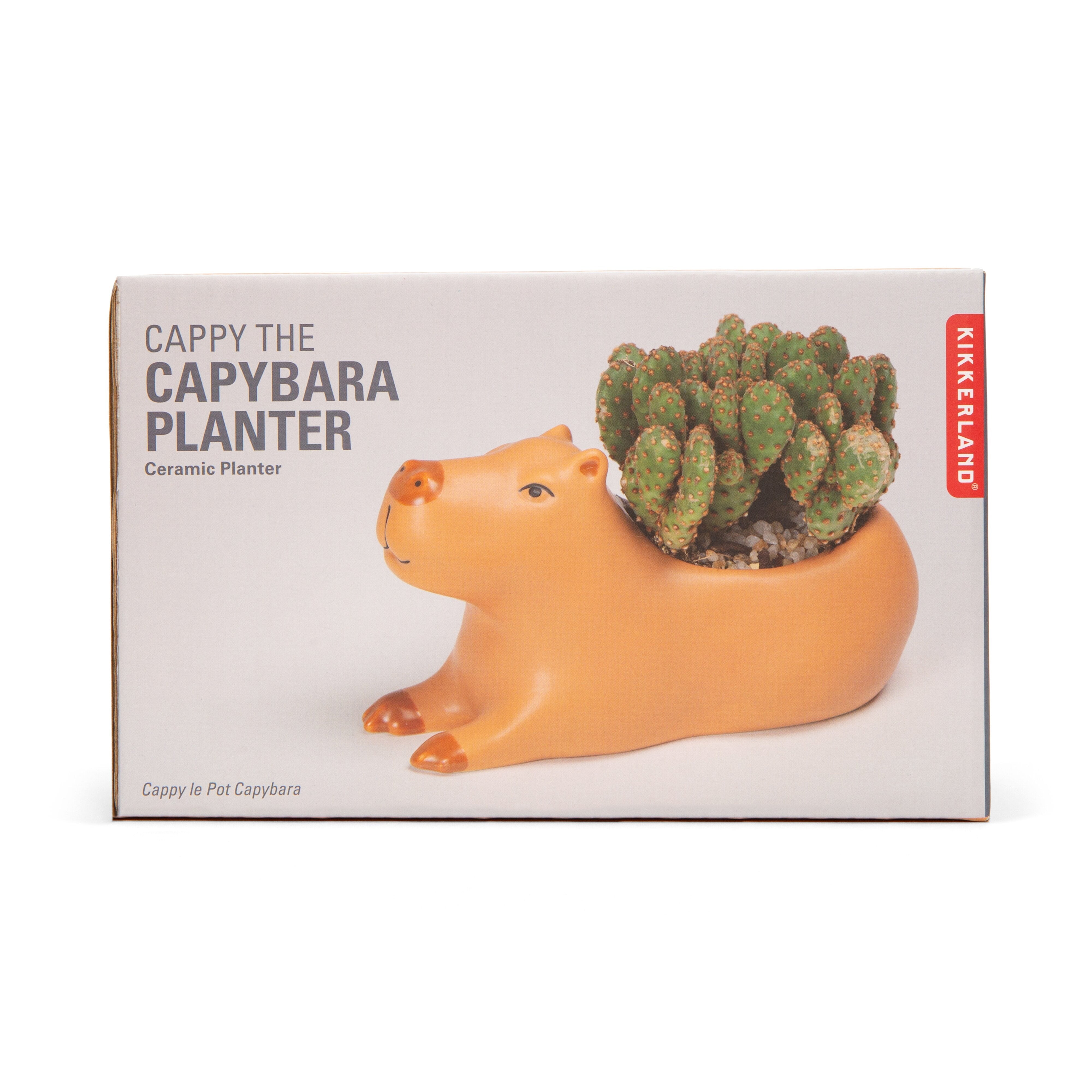 Kikkerland Cappy the Capybara Planter Large Brown