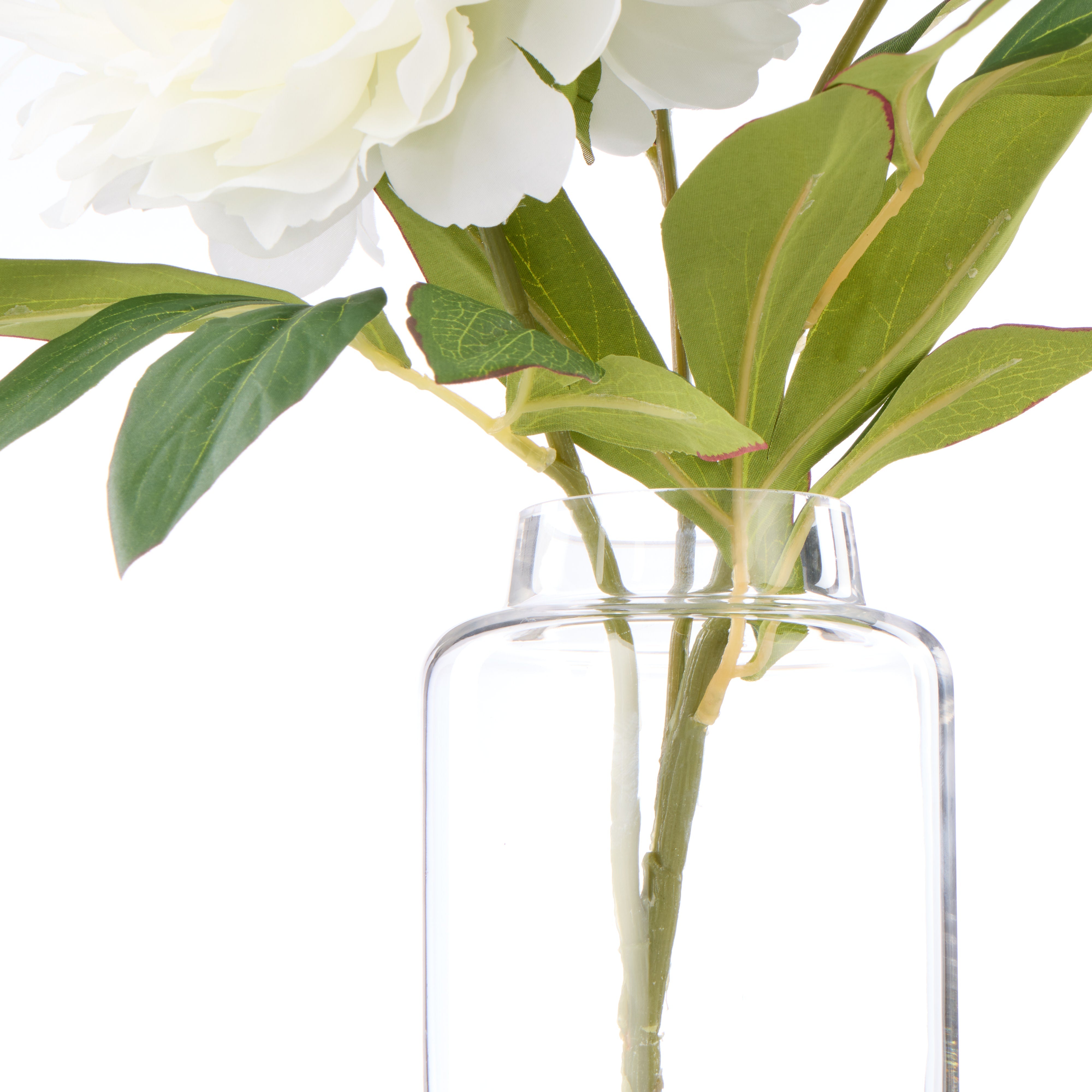Rogue Peony Stem - Pauline Vase