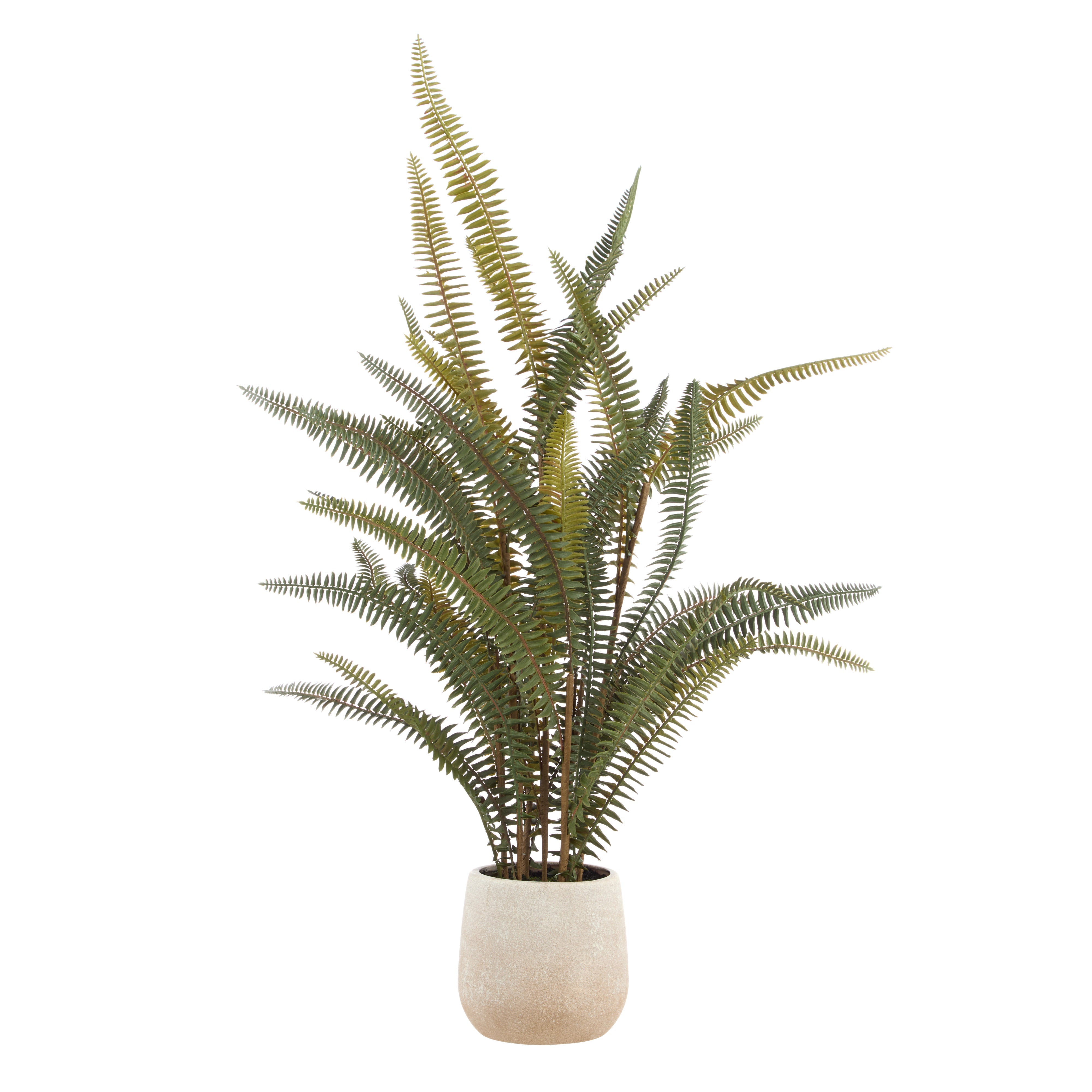 Rogue Boston Fern Pot 71cm