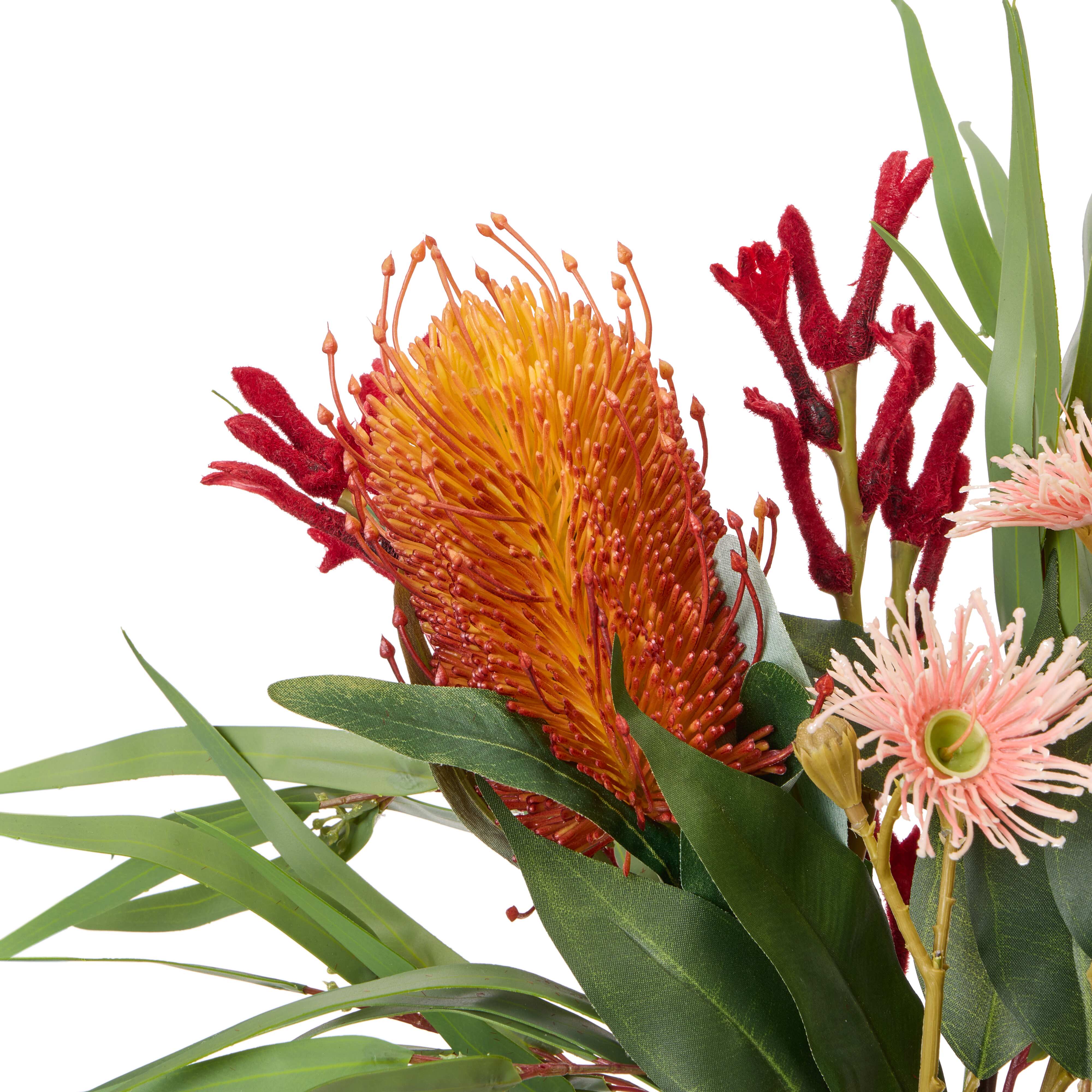 Rogue Native Banksia Mix - Rachel Vase Multi-Coloured