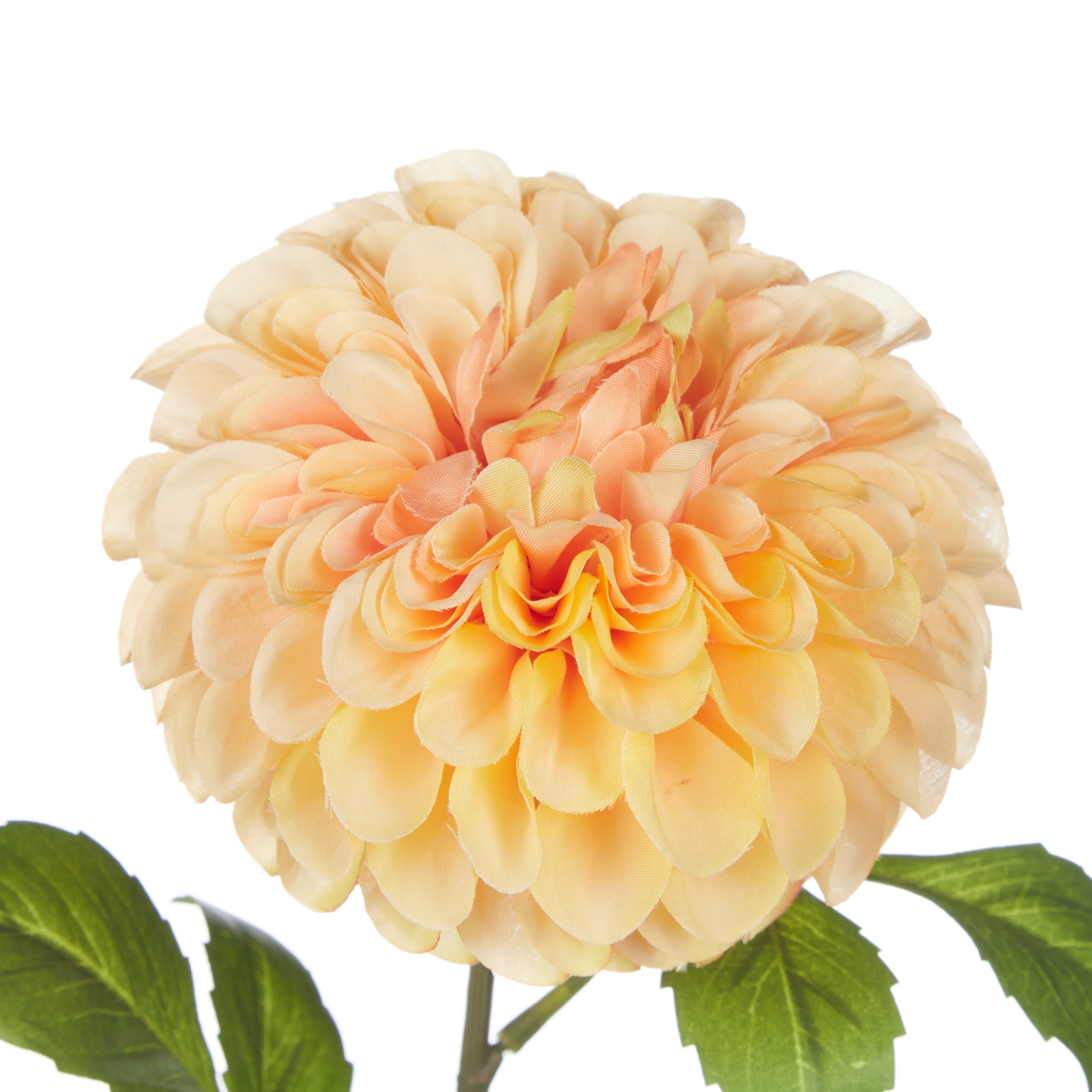 Rogue Chrysanthemum Stem Orange