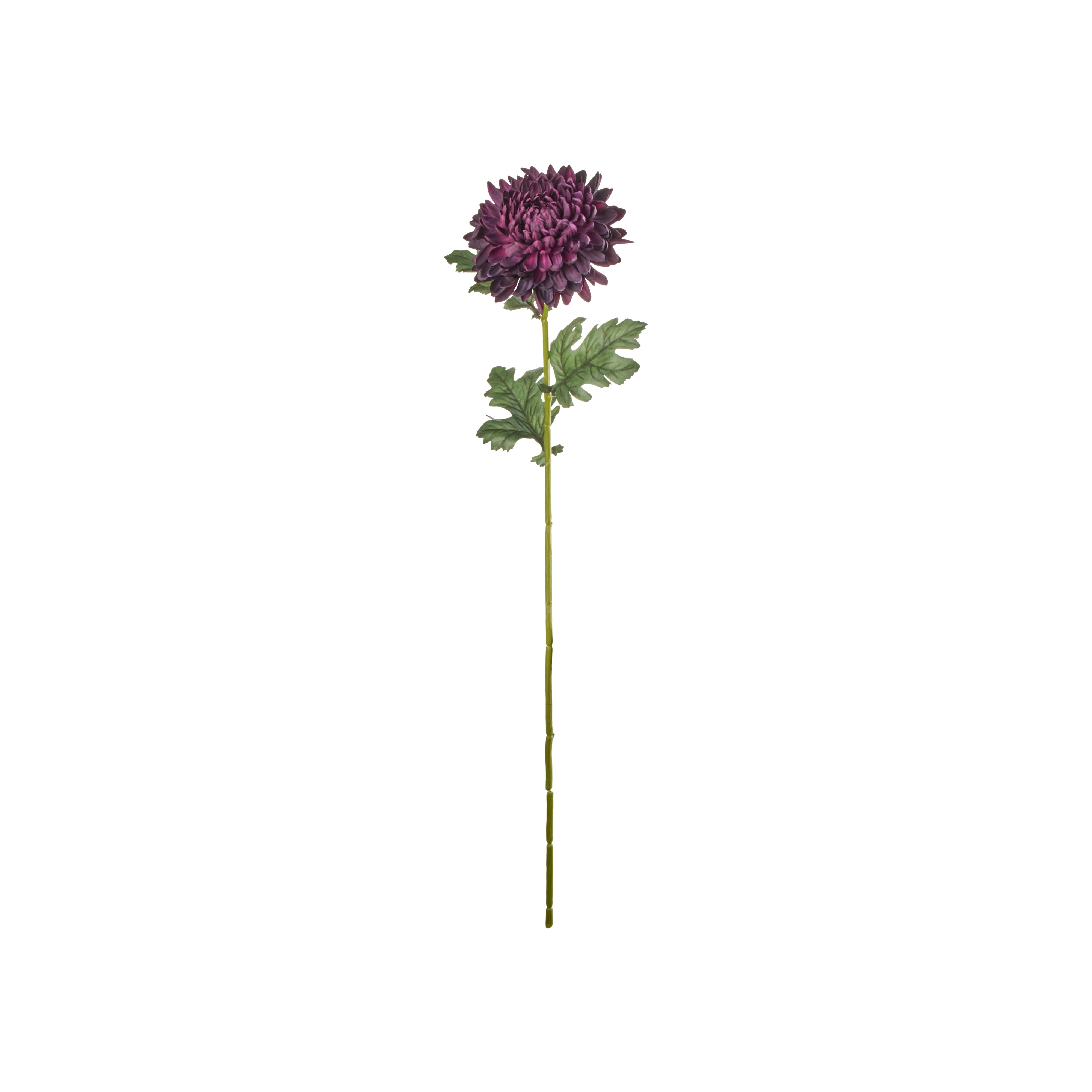 Rogue Chrysanthemum Stem Real Touch Purple & Black