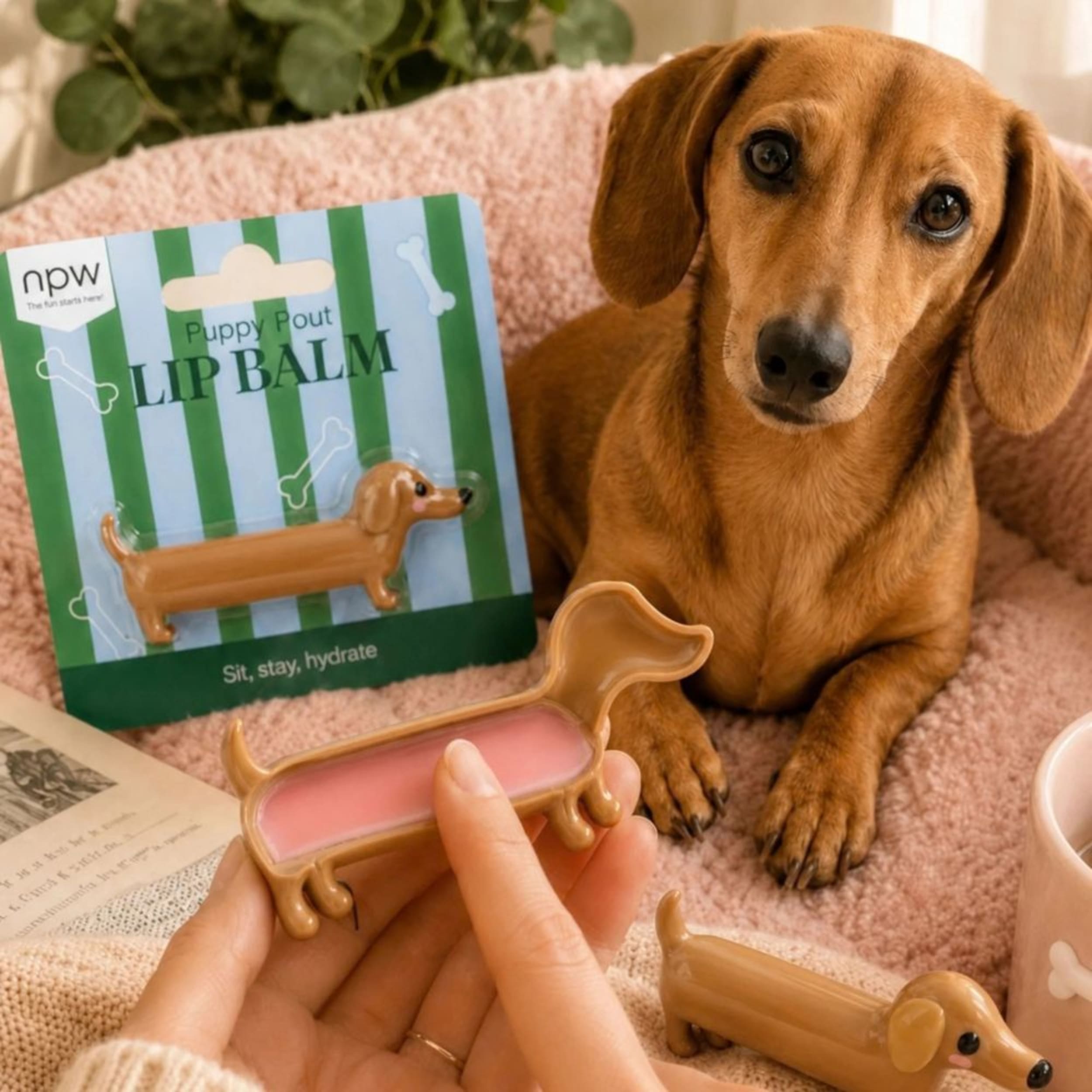 NPW Puppy Pout Dog Lip Balm