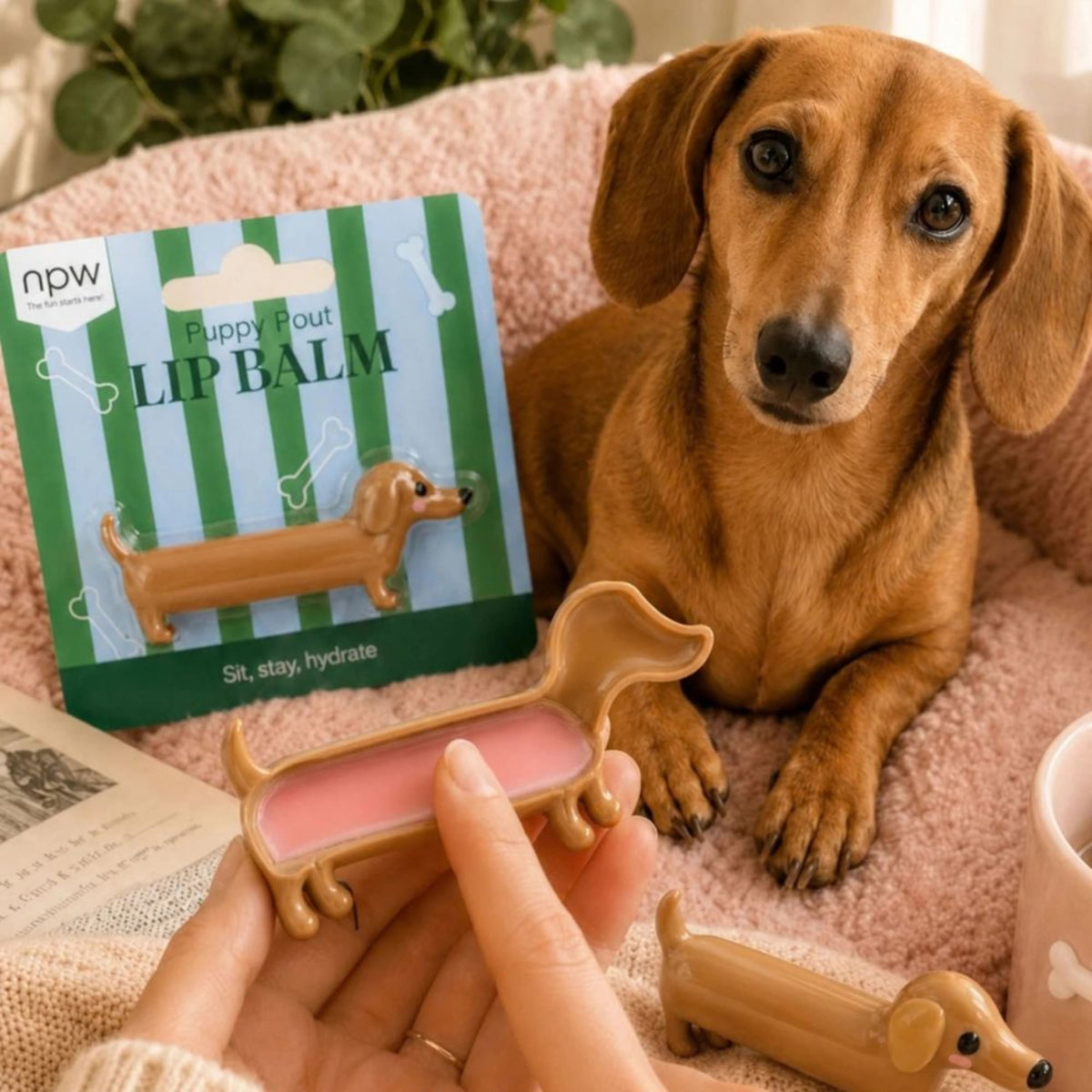NPW Puppy Pout Dog Lip Balm